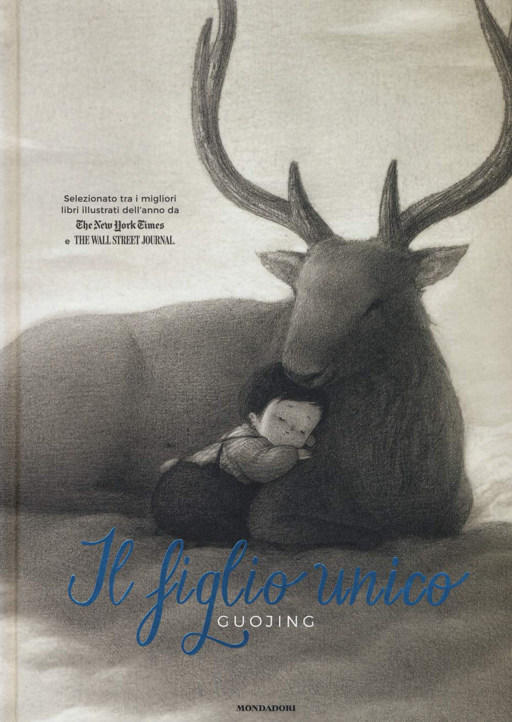 Il figlio unico (Leggere le figure) Children's books