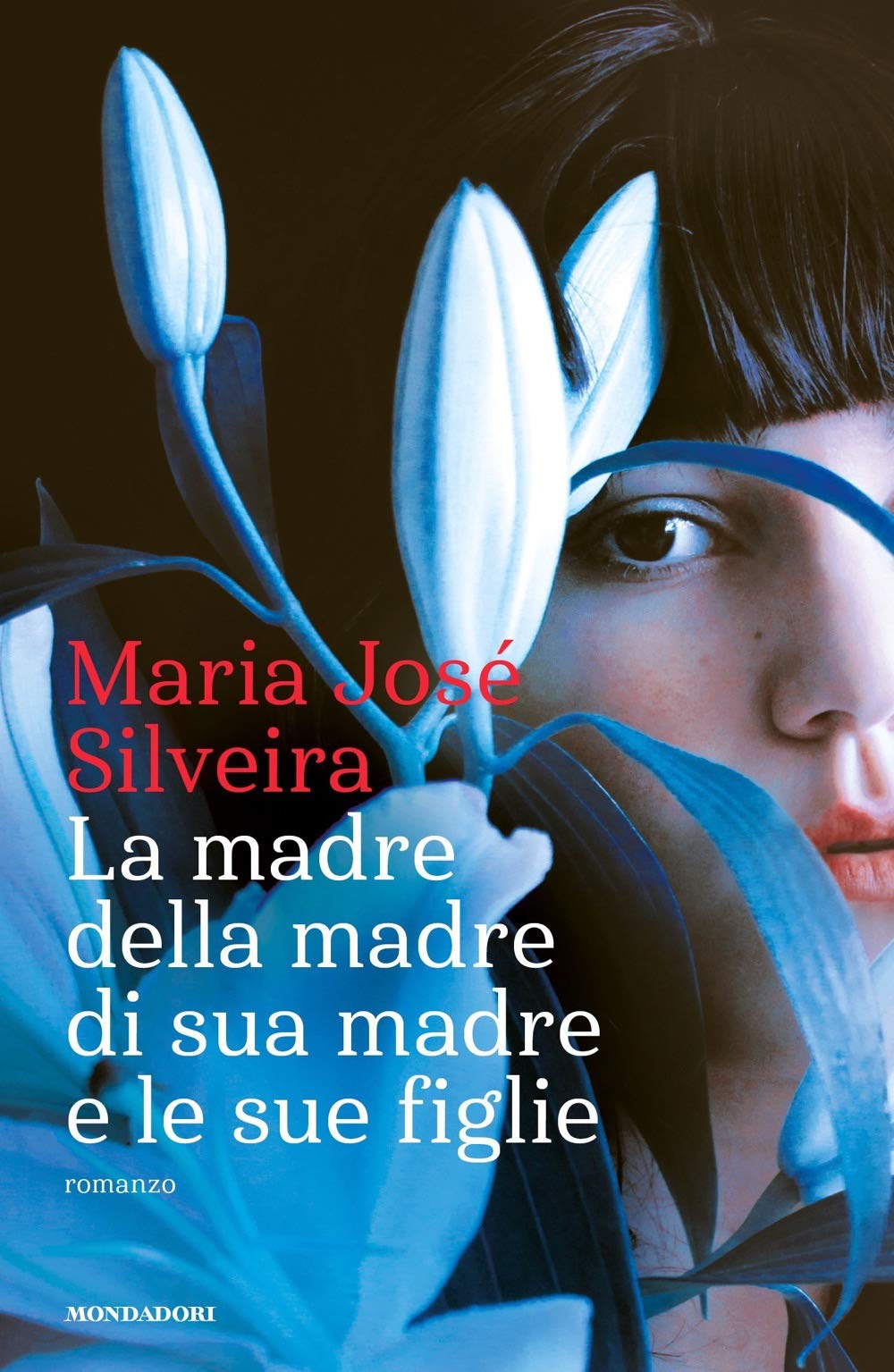 Silveira, M: Madre della madre di sua madre e le sue figlie Contemporary literature