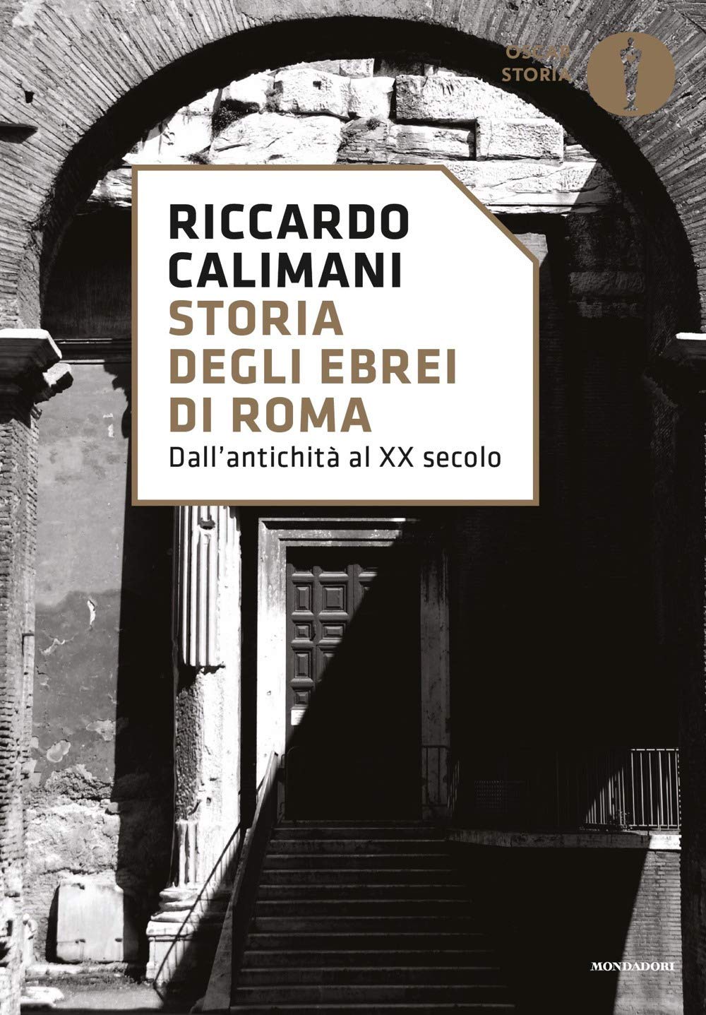 Storia degli ebrei di Roma. Dall'antichità al XX secolo book