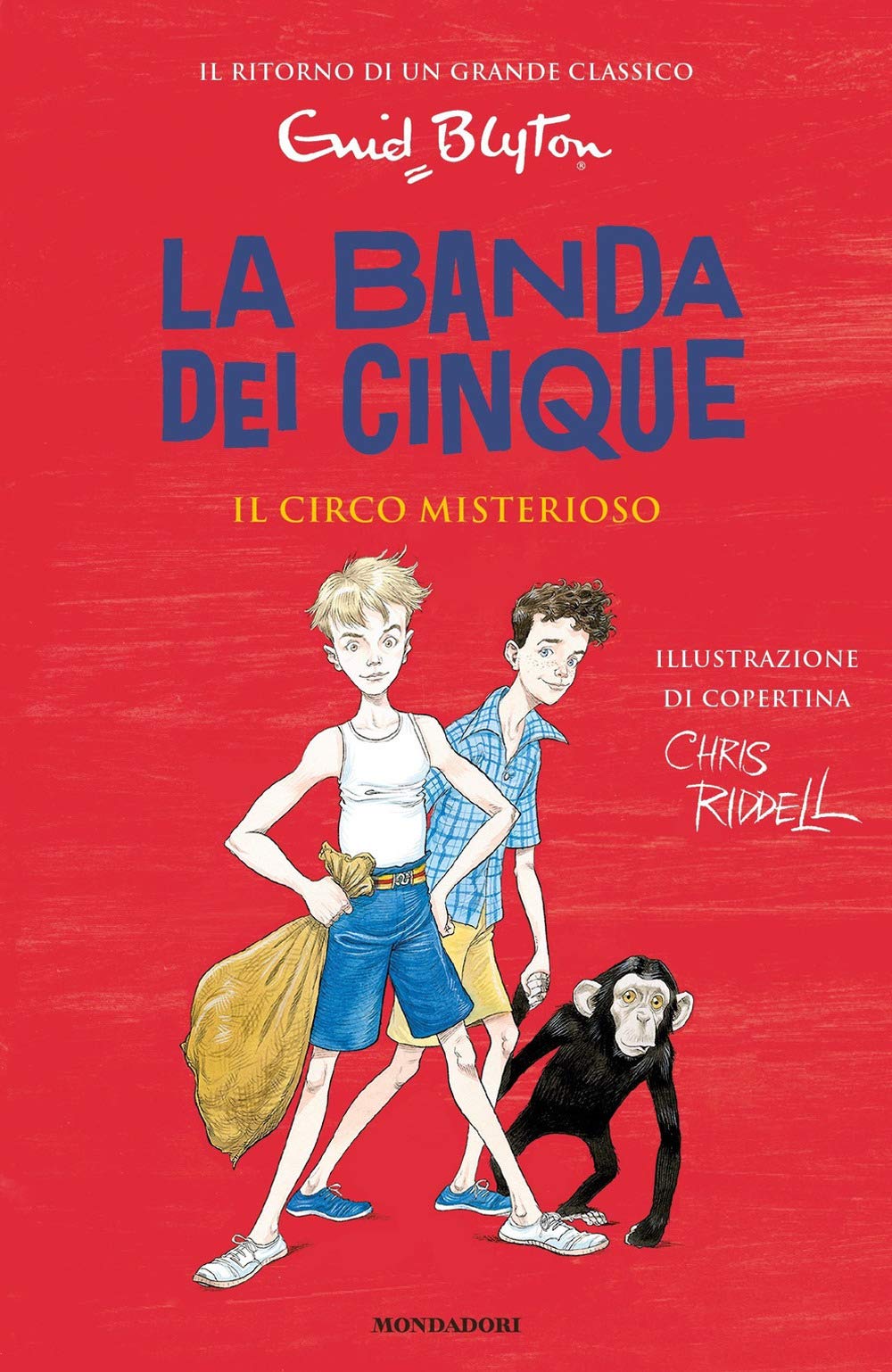Il circo misterioso. La banda dei cinque (Vol. 5) book