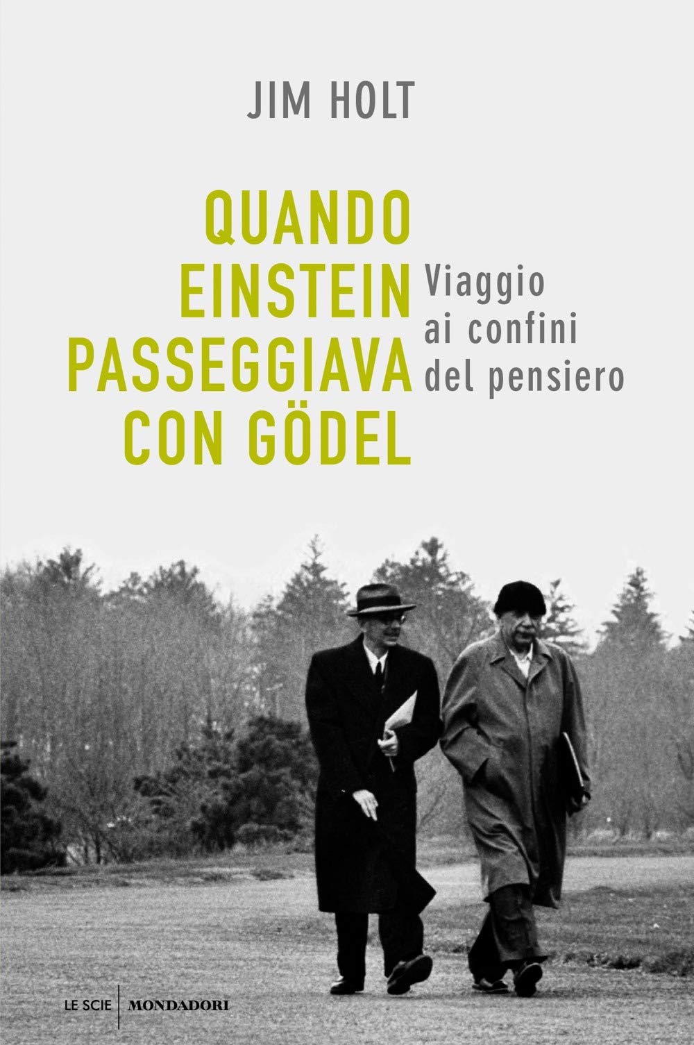 Quando Einstein passeggiava con Gödel. Viaggio ai confini del pensiero Philosophy