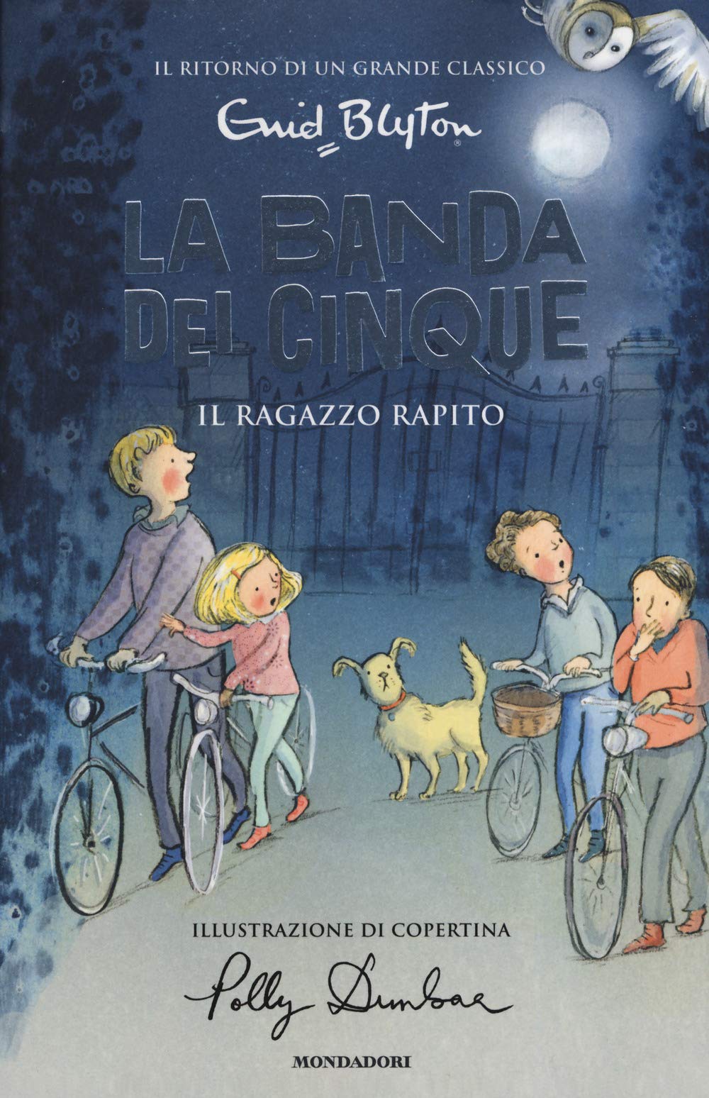 Il ragazzo rapito. La banda dei cinque (Vol. 8) book