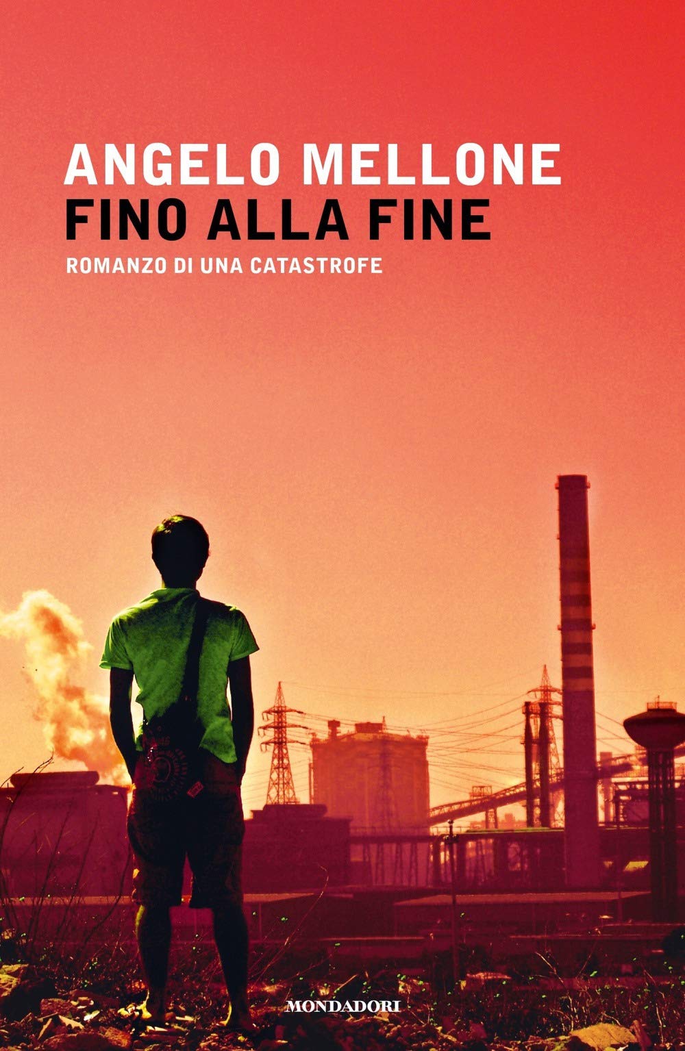 Fino alla fine. Romanzo di una catastrofe book