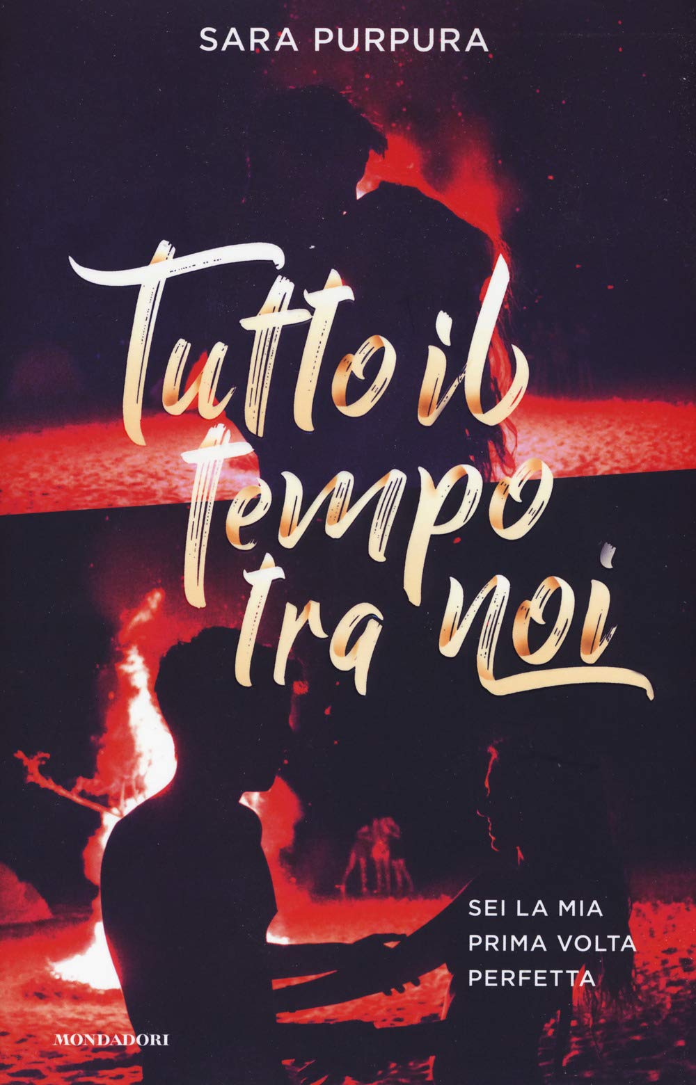 Tutto il tempo tra noi Contemporary literature
