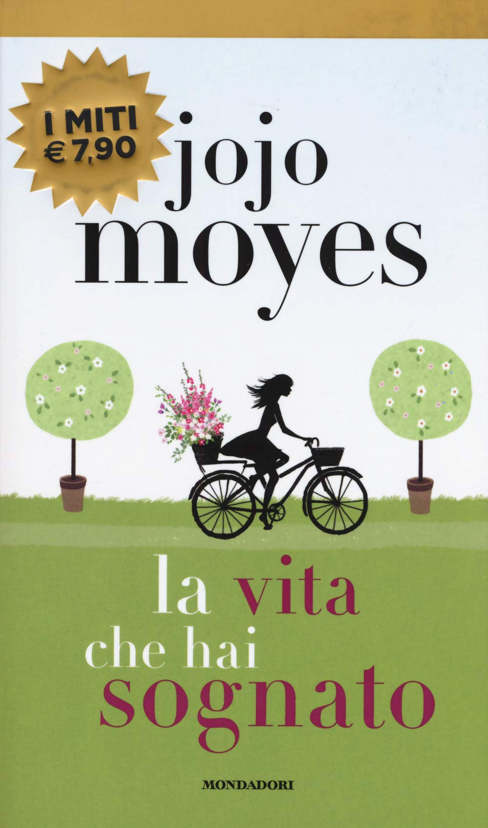 La vita che hai sognato book