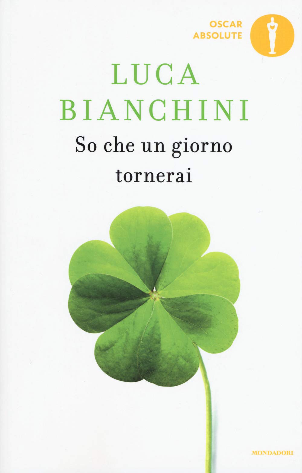 So che un giorno tornerai book
