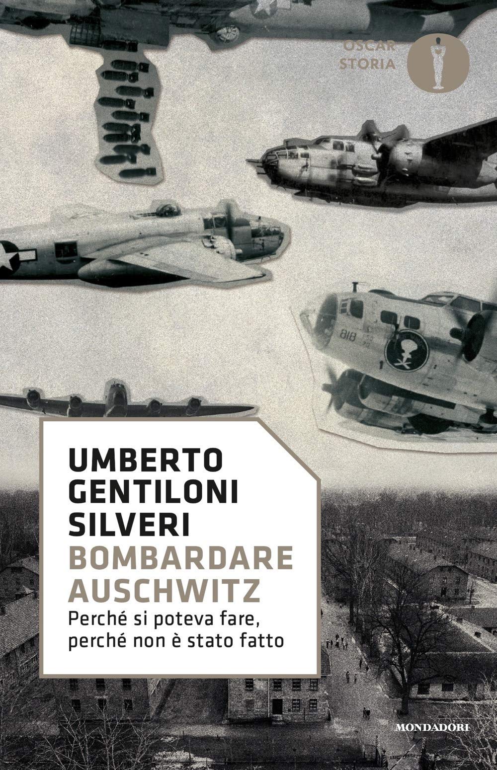 Bombardare Auschwitz. Perché si poteva fare, perché non è stato fatto German history