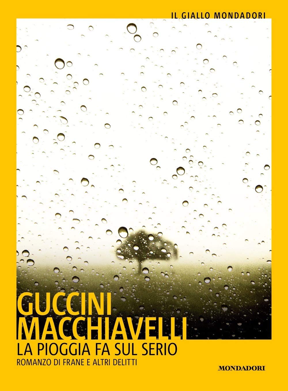 La pioggia fa sul serio. Romanzo di frane e altri delitti book