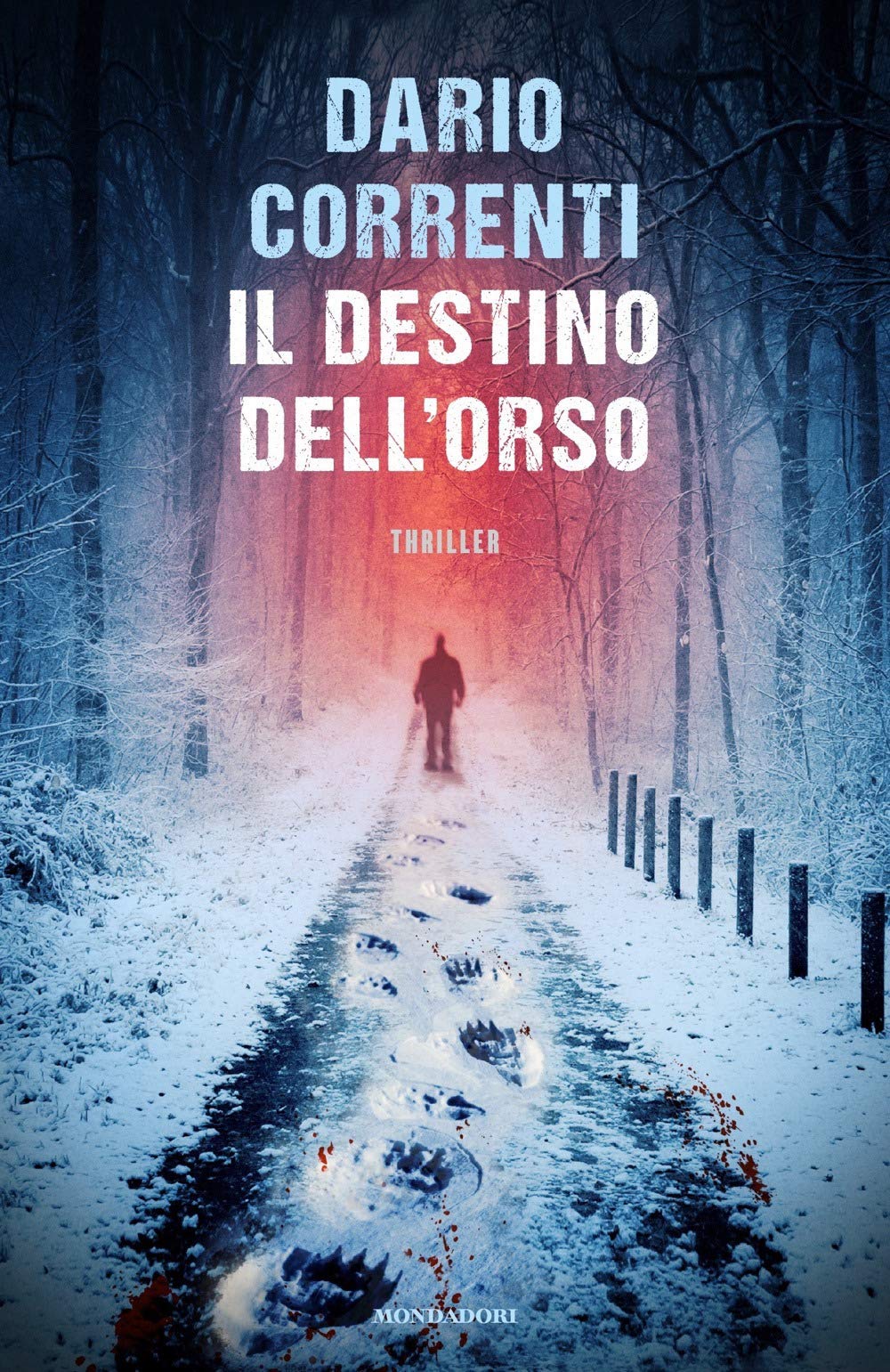 IL DESTINO DELL'ORSO book