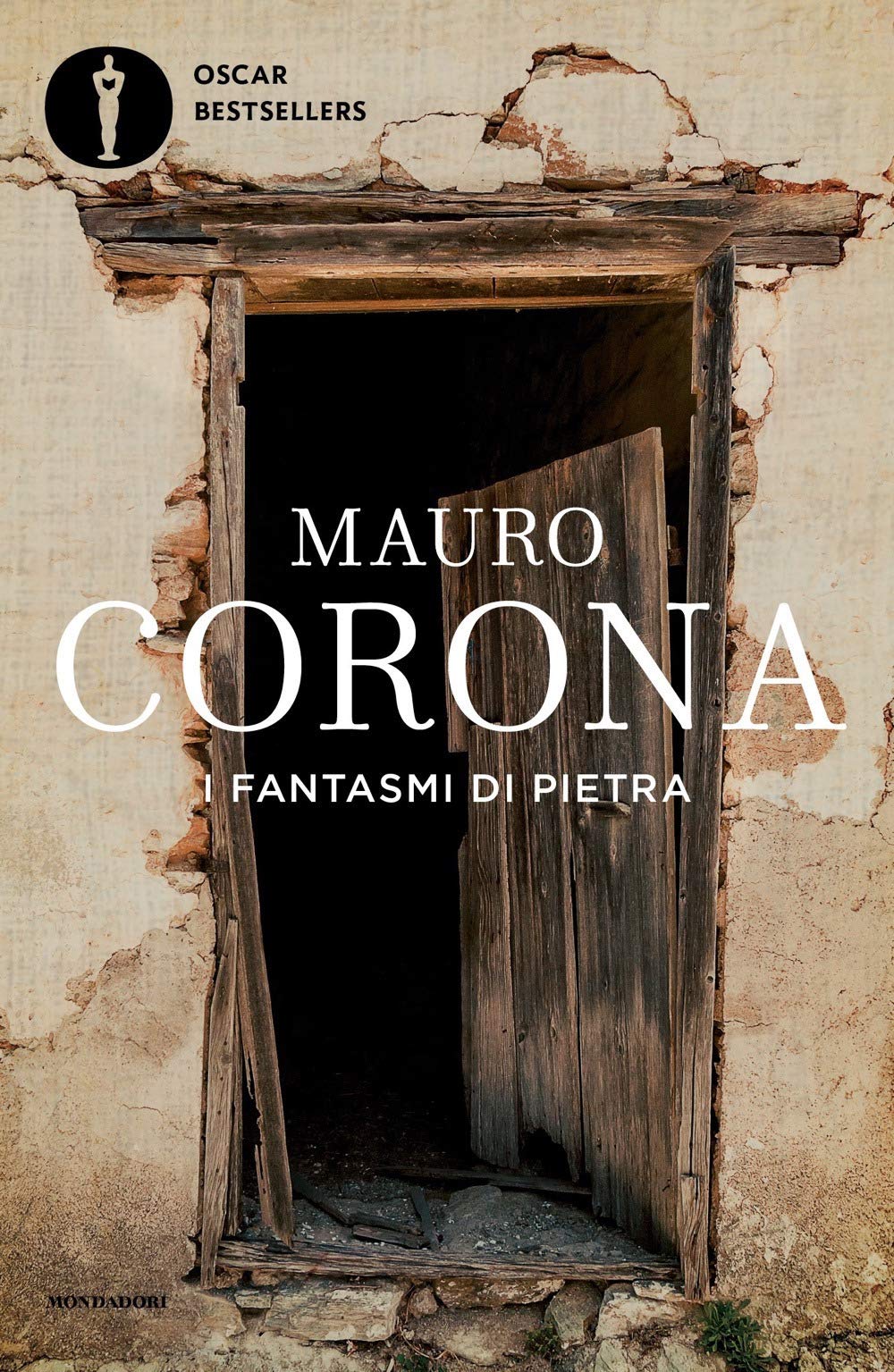 I fantasmi di pietra book