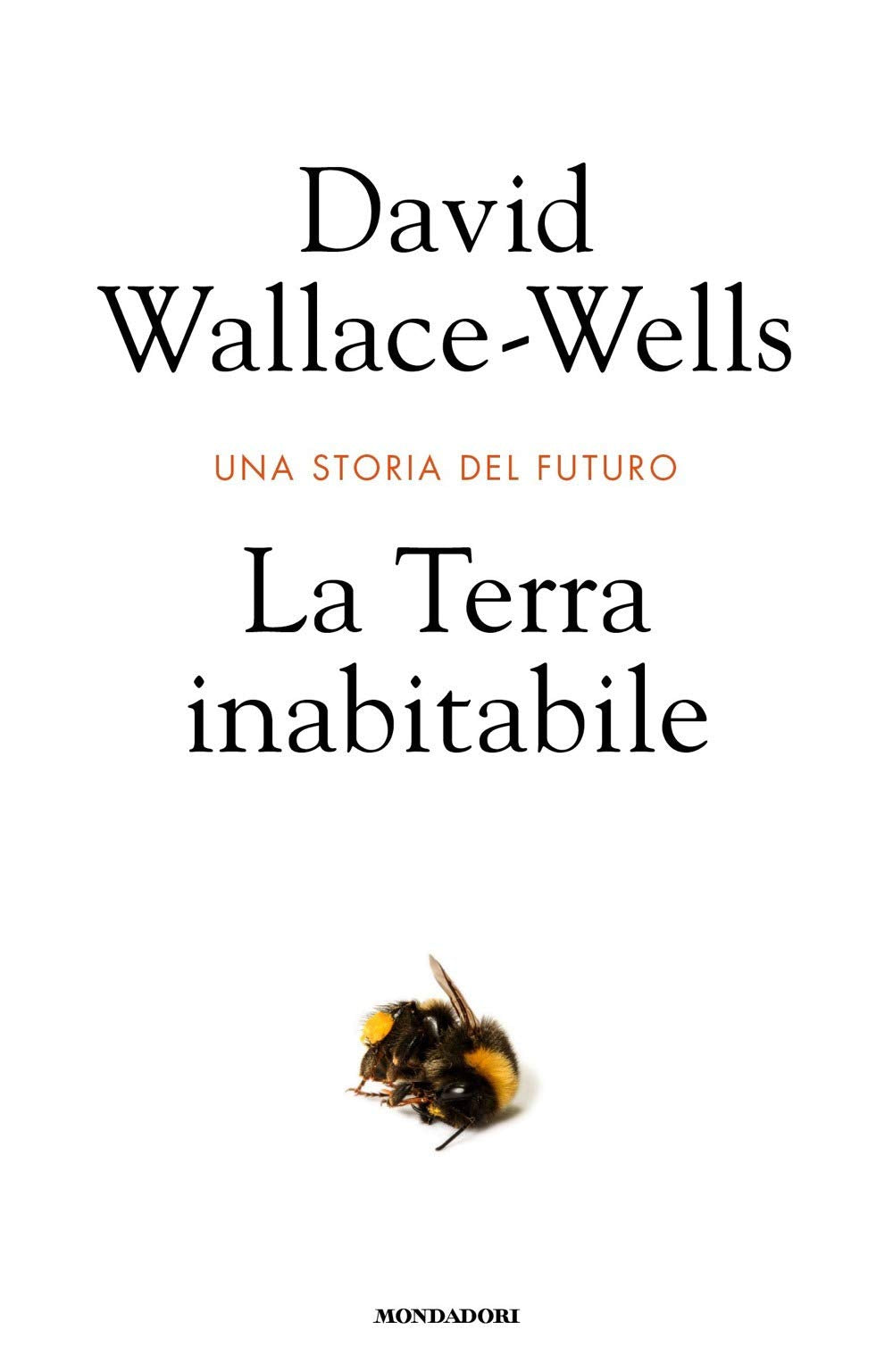 La Terra inabitabile. Una storia del futuro (Orizzonti) Mathematics