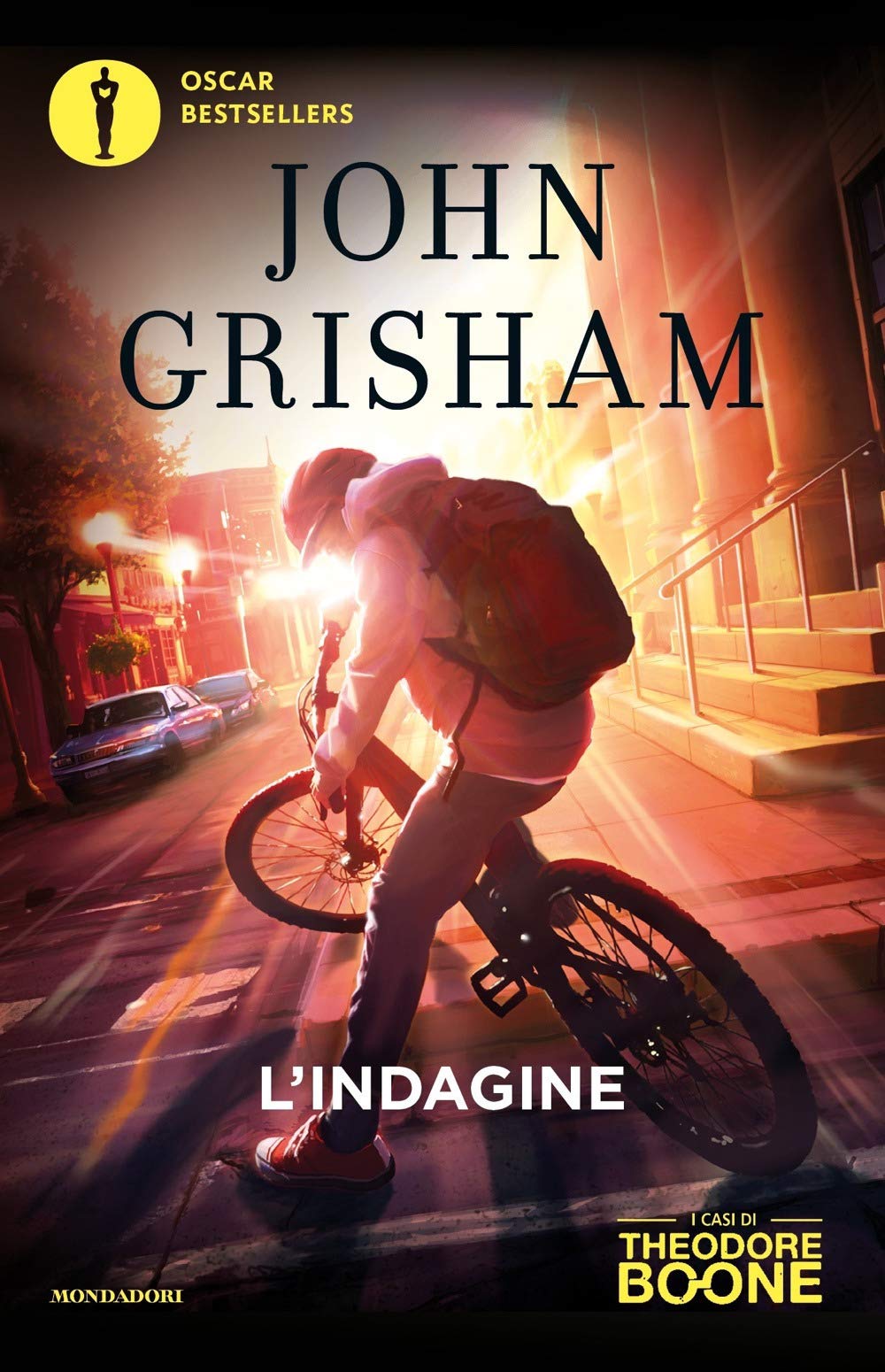 L'indagine. I casi di Theodore Boone. Vol 1 book