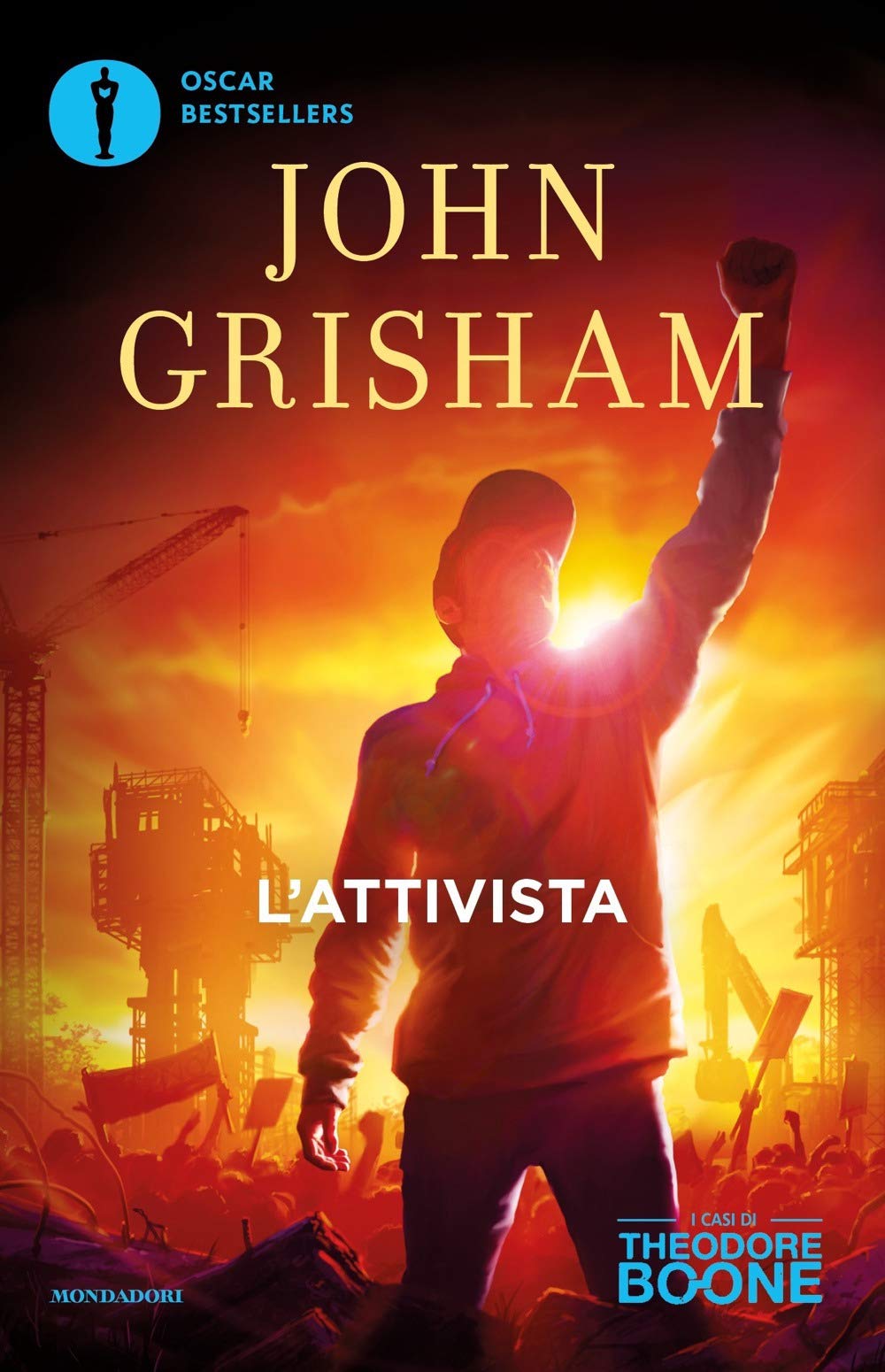L'attivista. I casi di Theodore Boone (Vol. 4) book