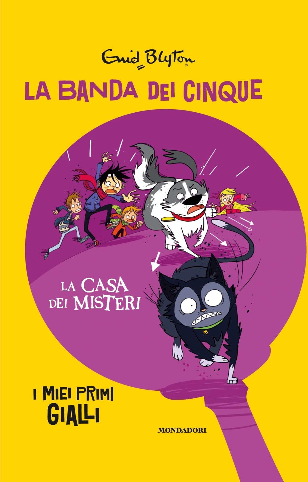 La casa dei misteri. La banda dei cinque book