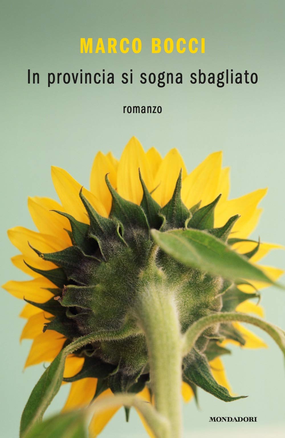 In provincia si sogna sbagliato book