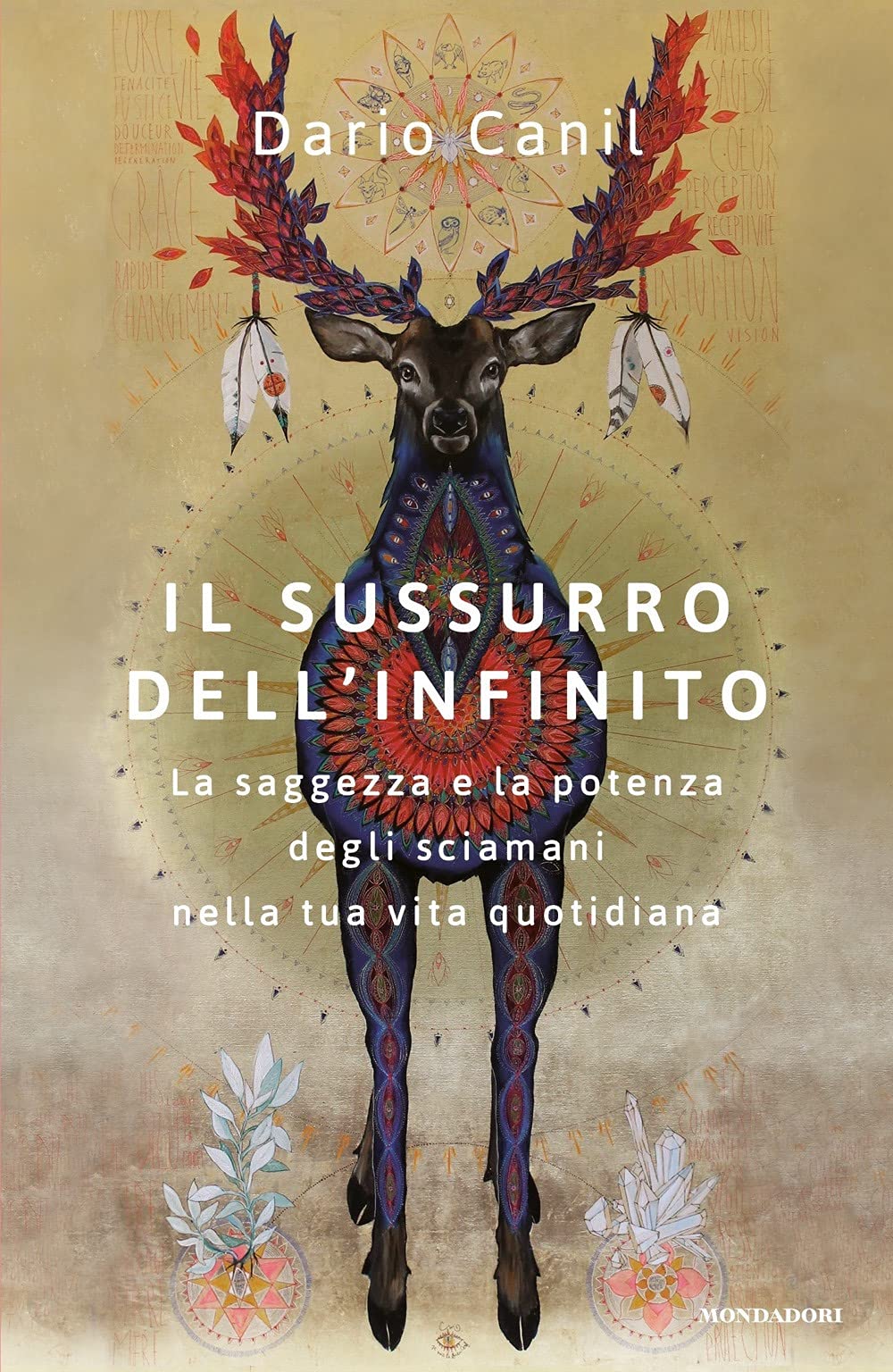 Il sussurro dell'infinito. La saggezza e la potenza degli sciamani nella tua vita quotidiana book