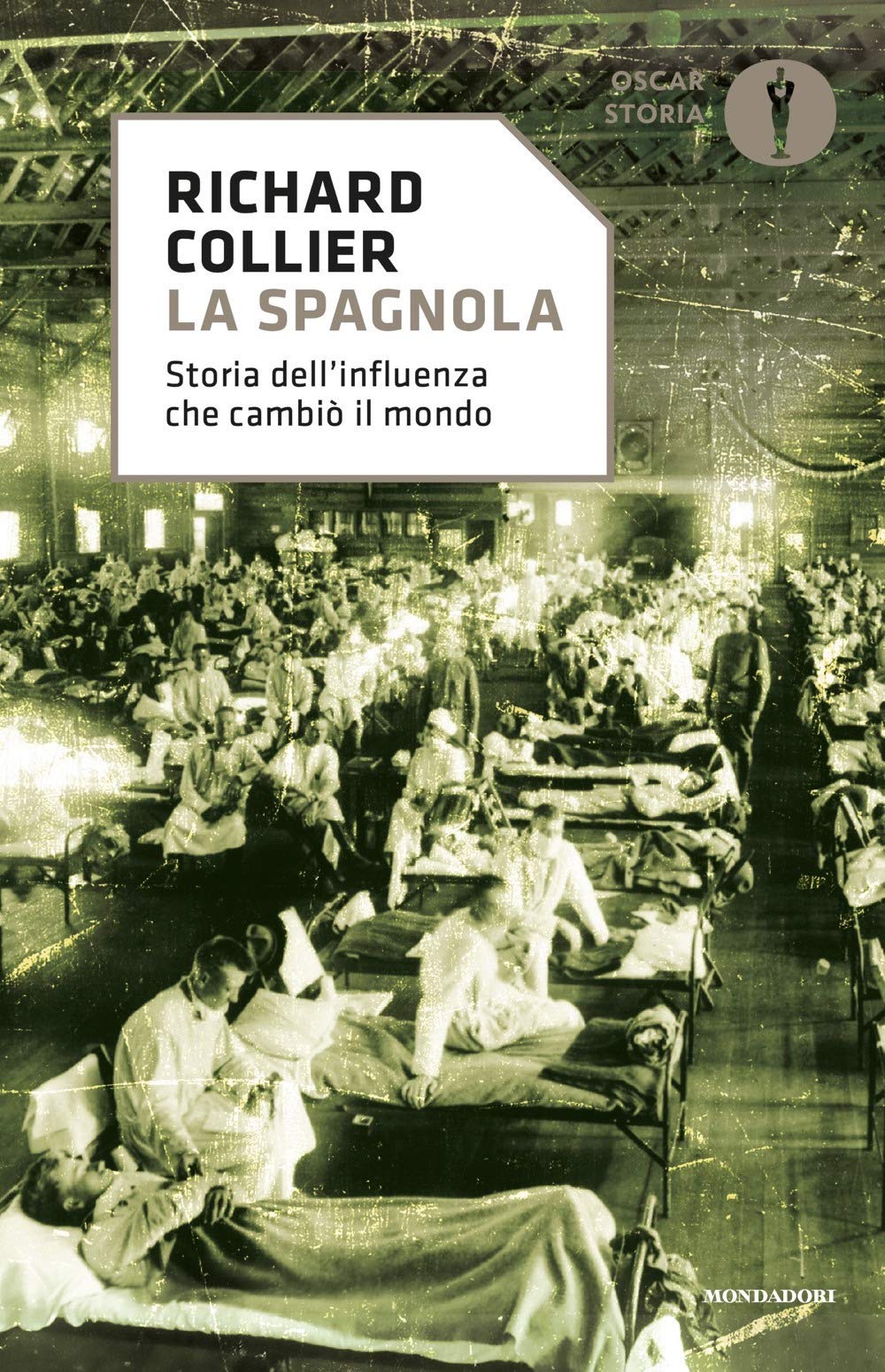 La spagnola. Storia dell'influenza che cambiò il mondo book