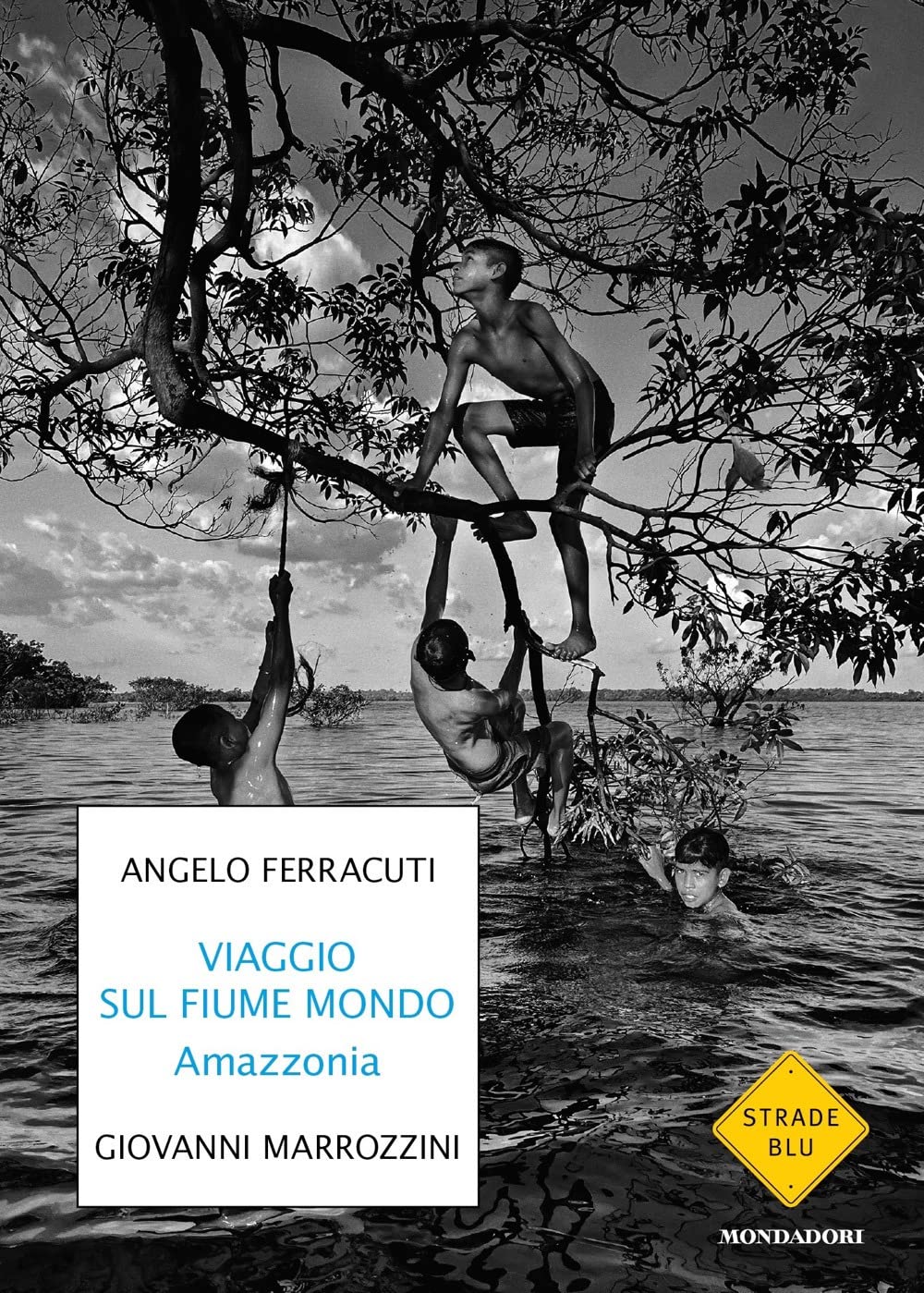 Viaggio sul fiume mondo. Amazzonia Books