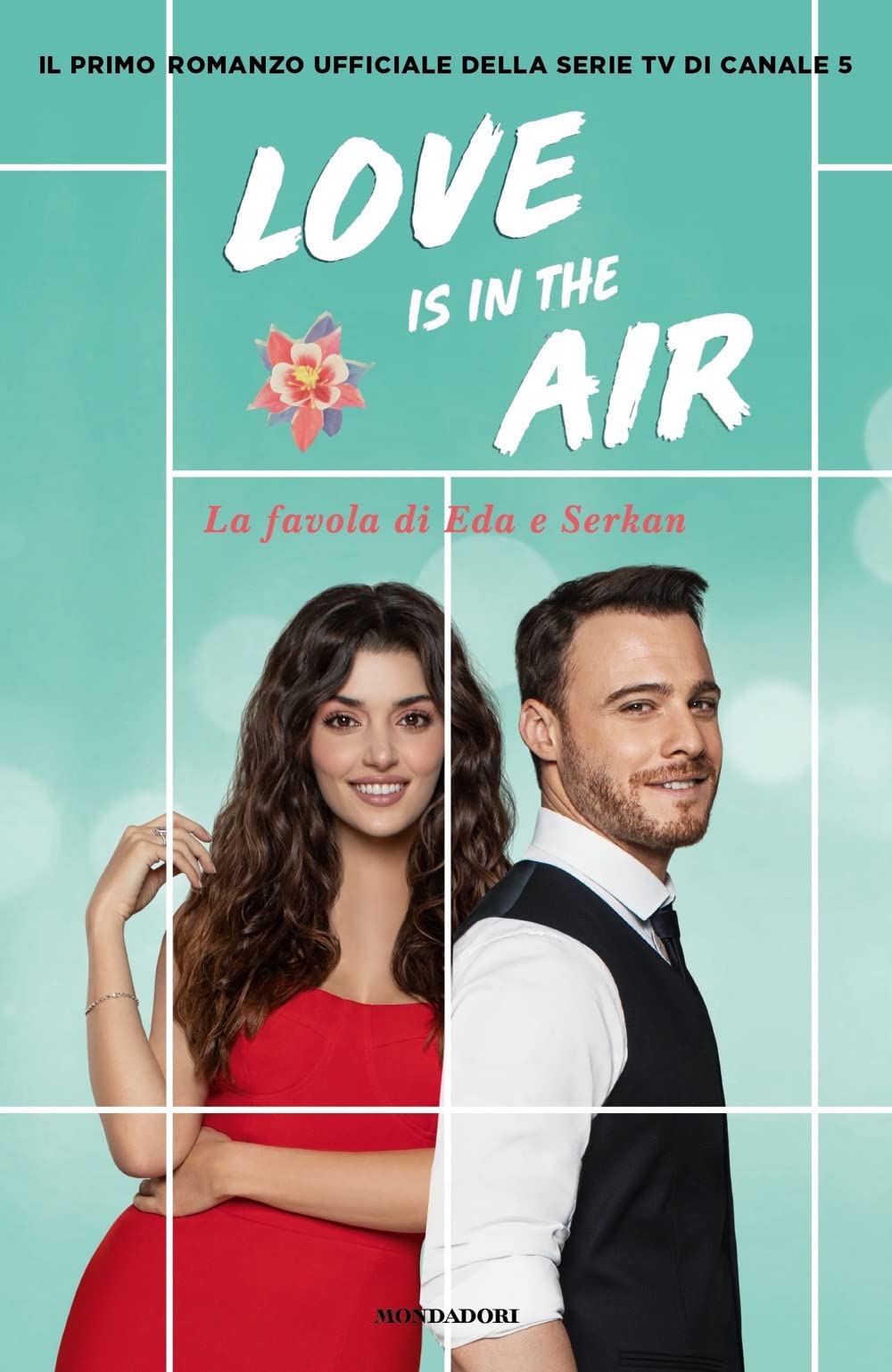Love is in the air. La favola di Eda e Serkan book