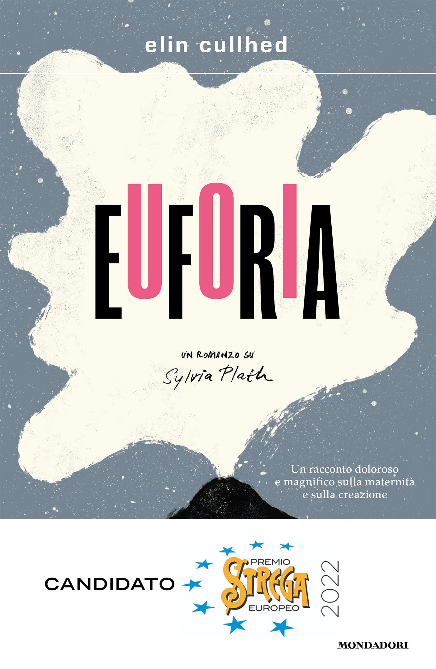 Euforia. Un romanzo su Sylvia Plath (Scrittori italiani e stranieri) Personalities