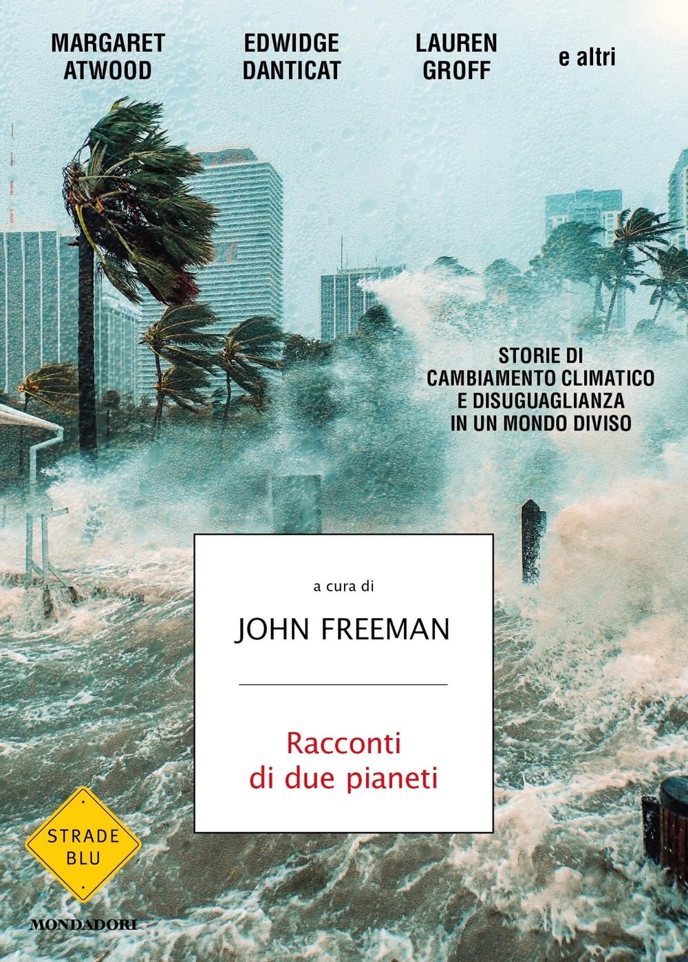 Racconti di due pianeti. Storie di cambiamento climatico e disuguaglianza in un mondo diviso (Strade blu. Fiction) Contemporary literature