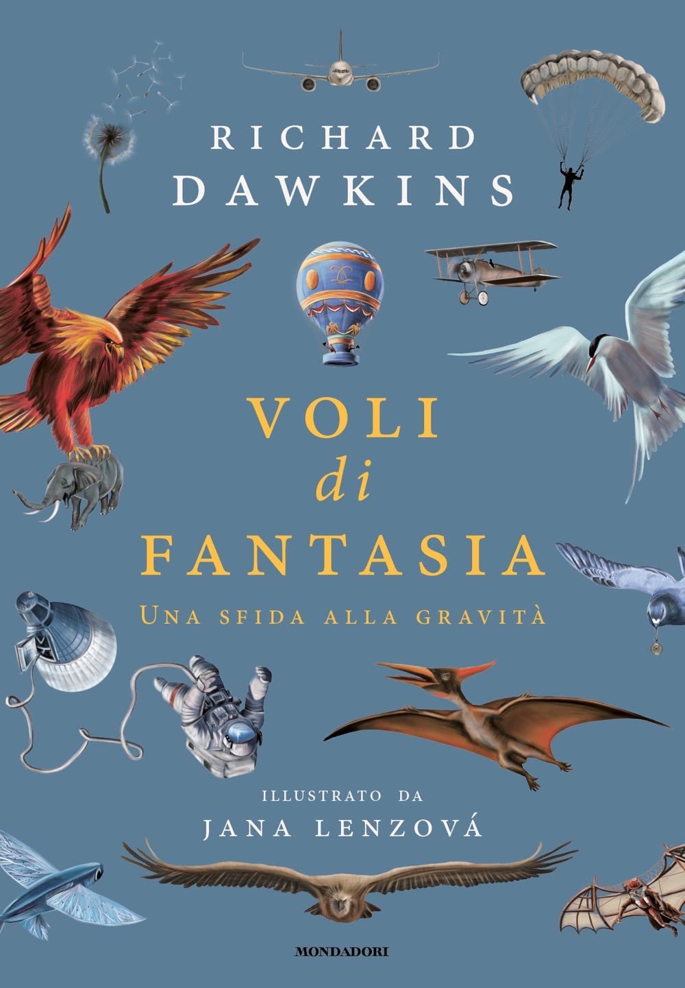 Voli di fantasia. Una sfida alla gravità Media & Communication