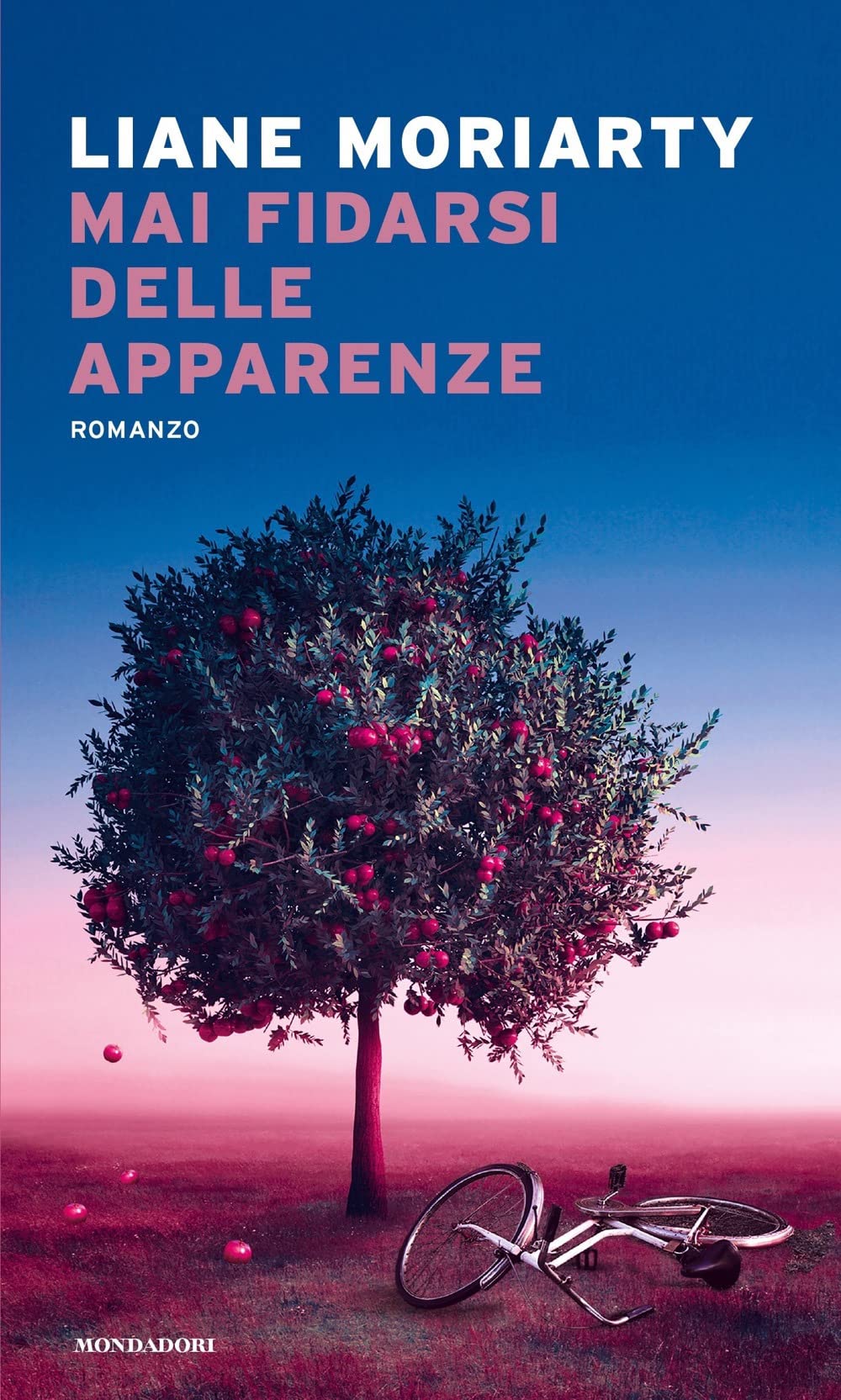 Mai fidarsi delle apparenze book