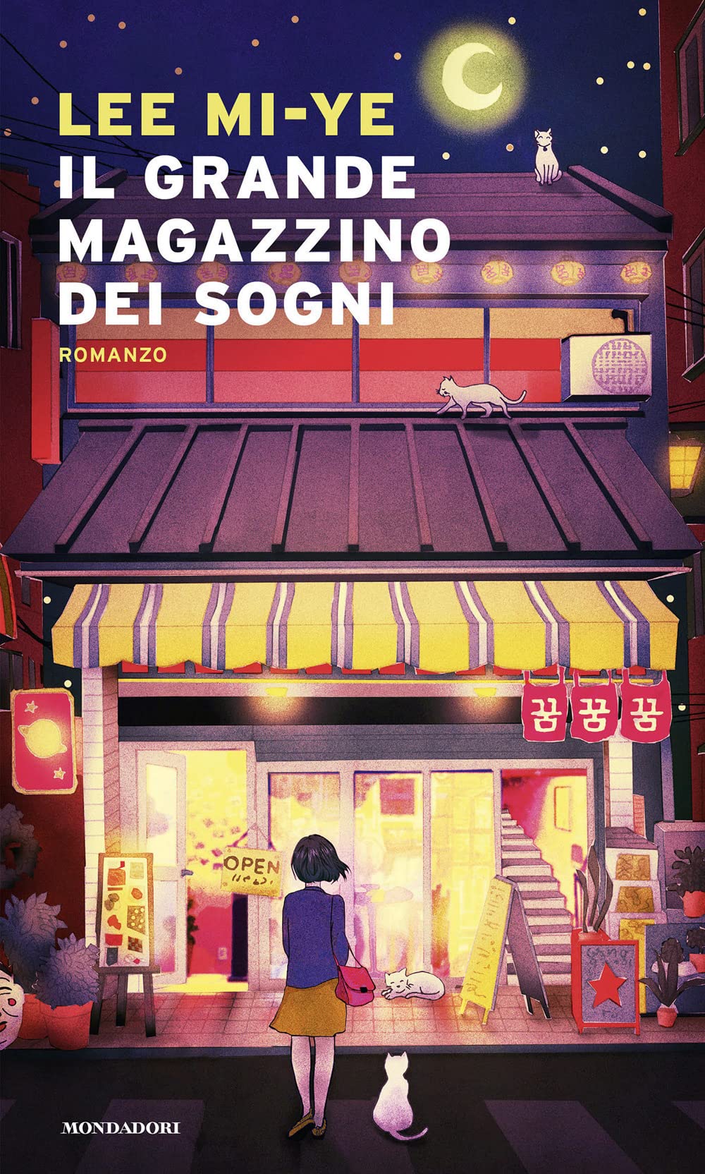 Il Grande Magazzino dei Sogni book