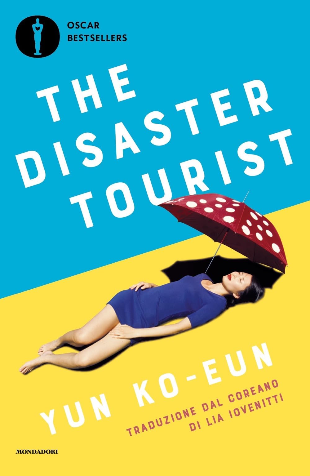 The disaster tourist. Ediz. italiana Contemporary literature