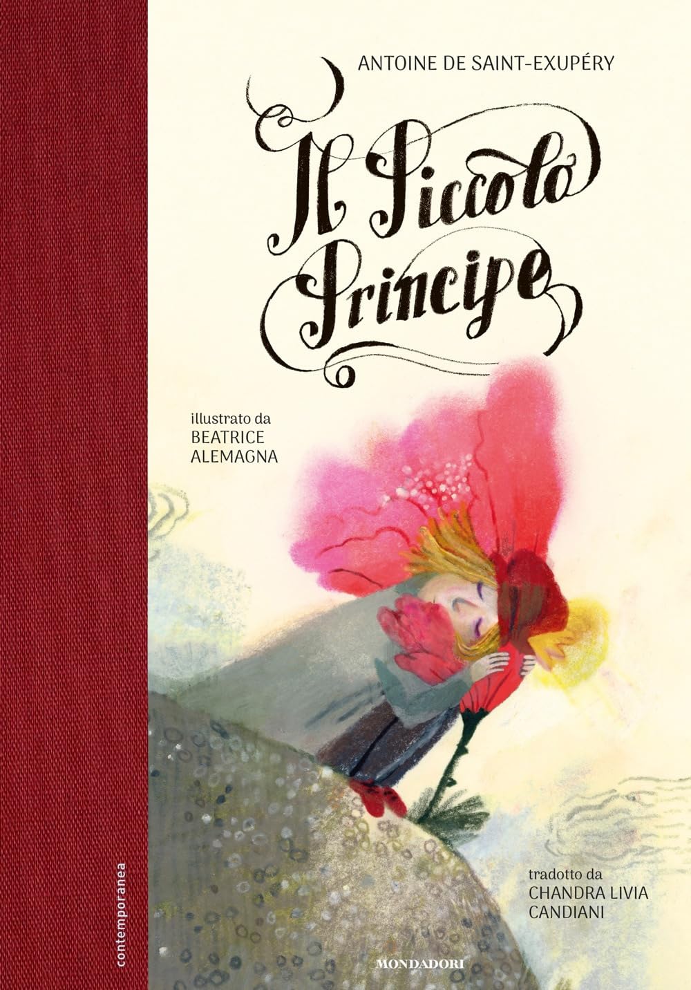 Il Piccolo Principe book