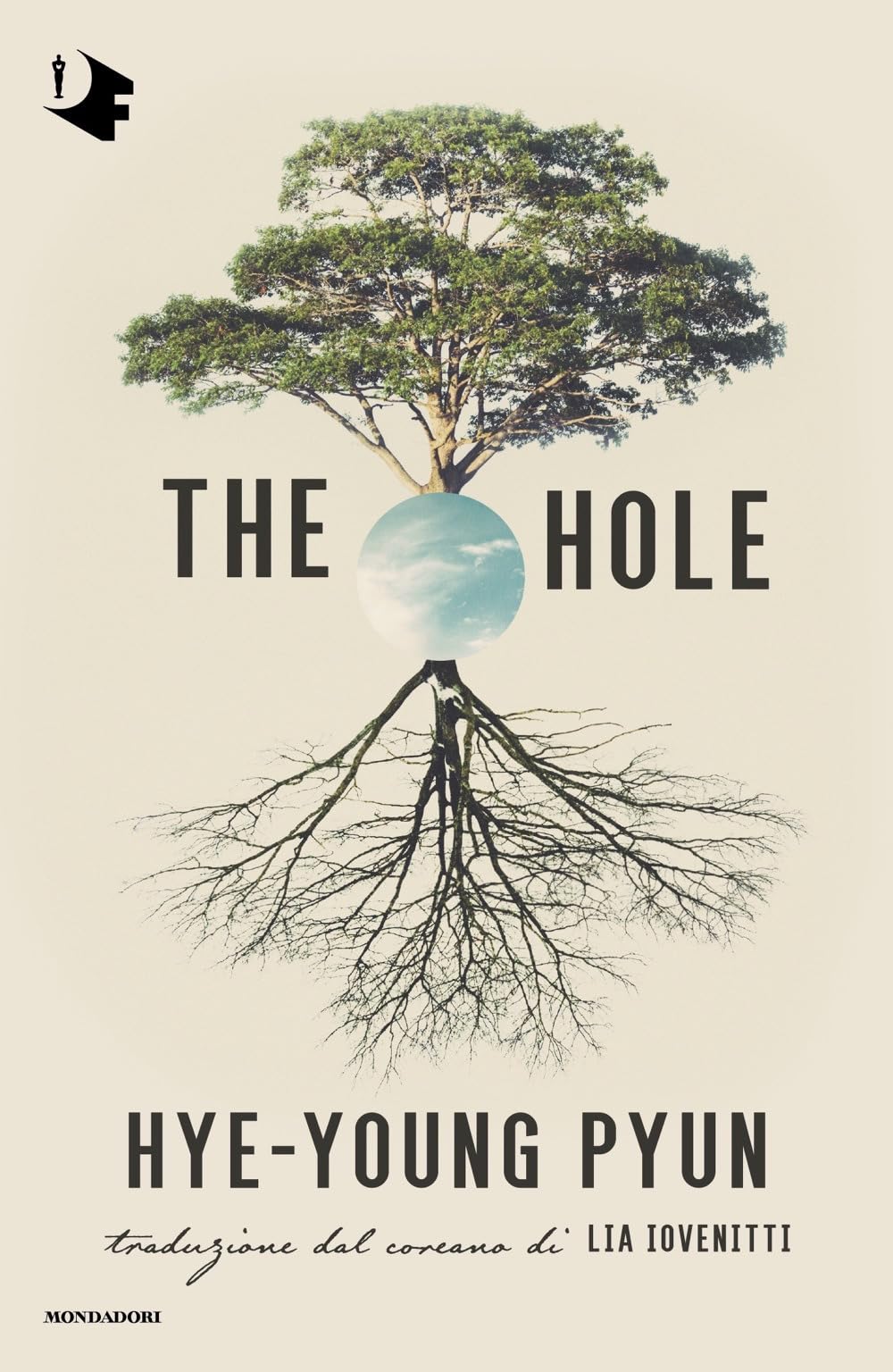 The hole. Ediz. italiana (Oscar fantastica) Contemporary literature