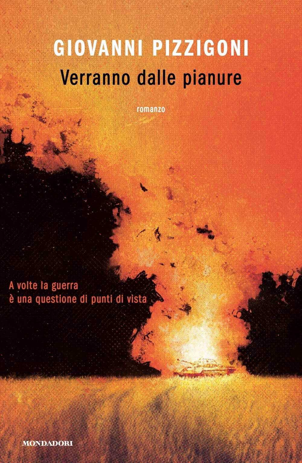 Verranno dalle pianure book