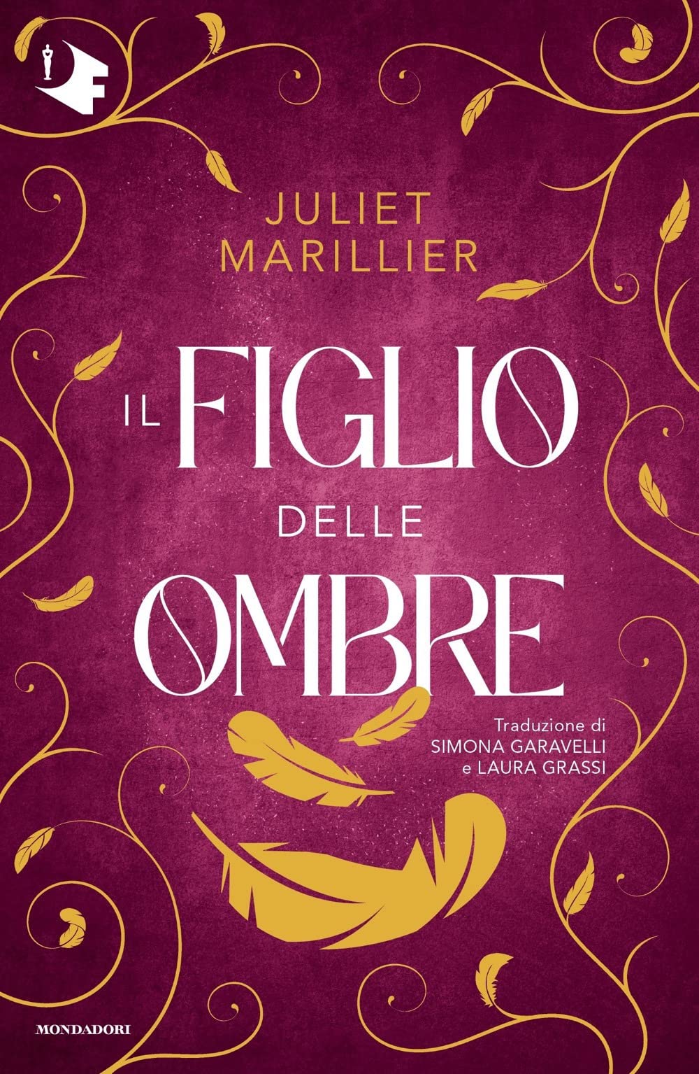 Il figlio delle ombre book