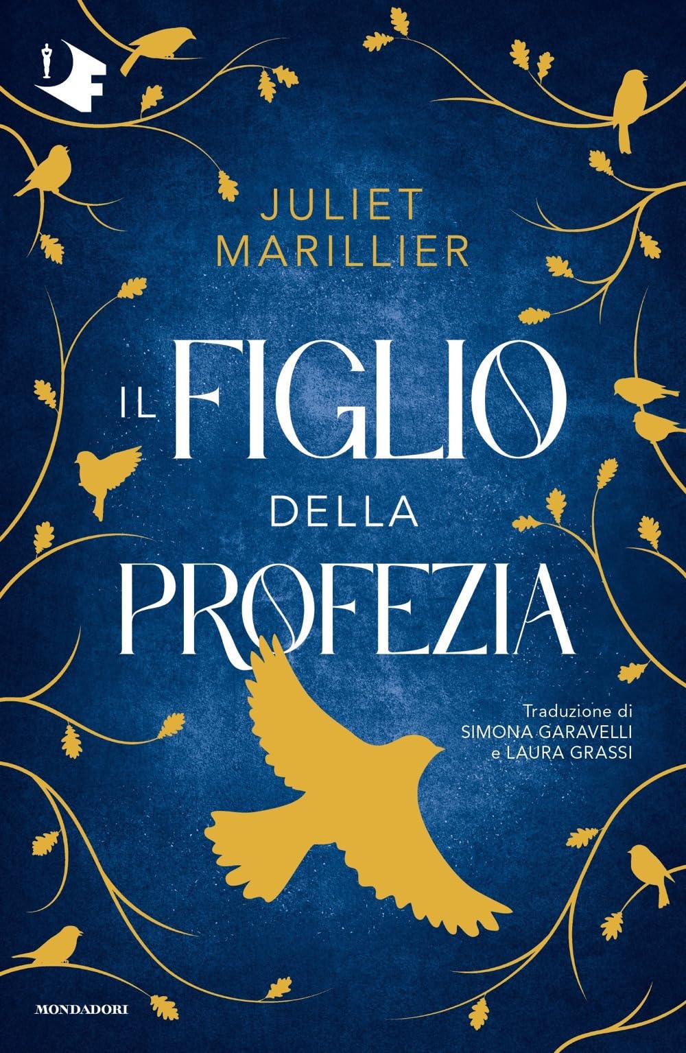 Product Image: Il figlio della profezia