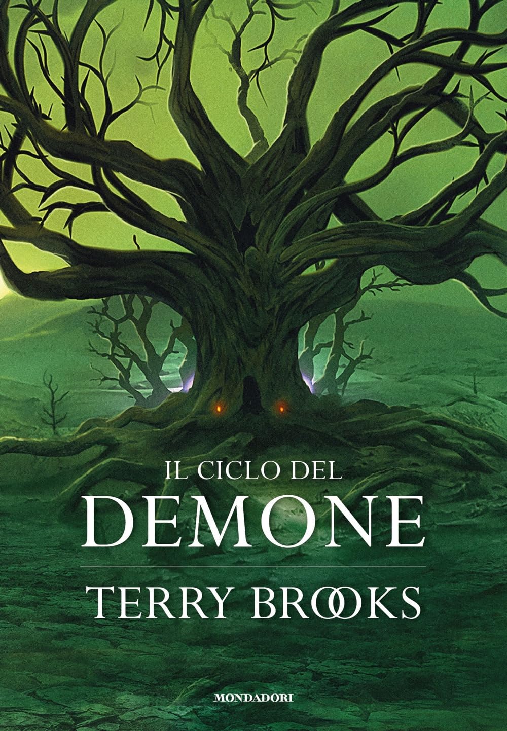 Product Image: Il ciclo del demone