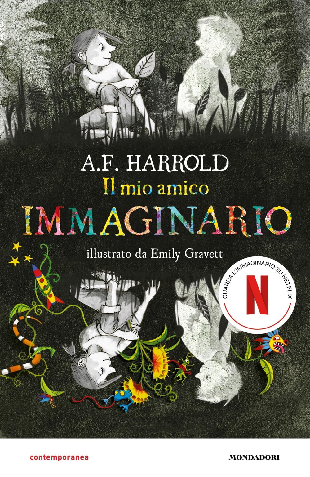 Il mio amico immaginario book