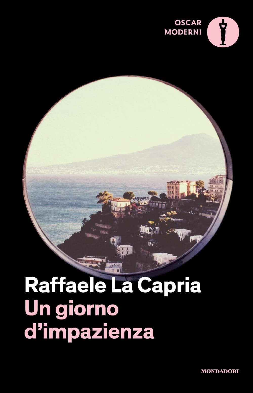 Un giorno d'impazienza book