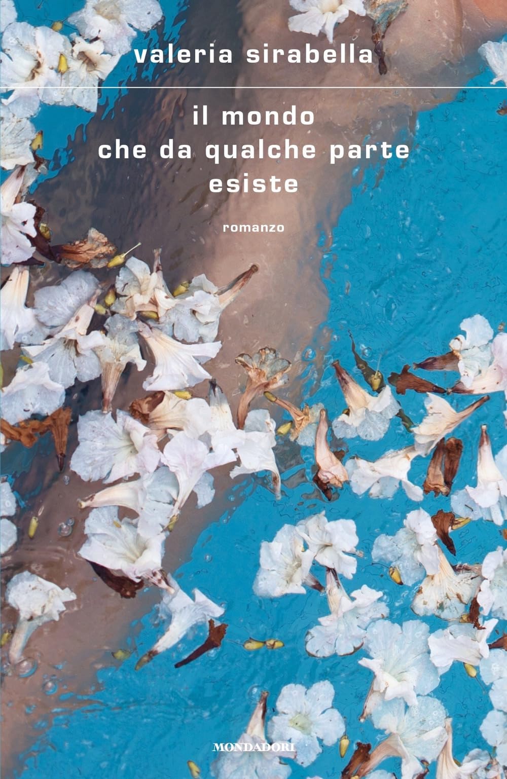 Il mondo che da qualche parte esiste book