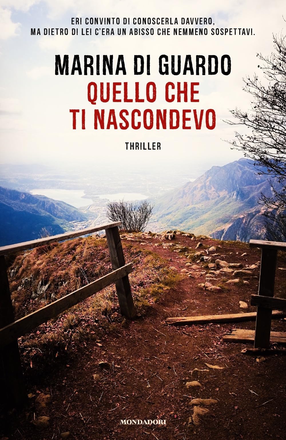 Quello che ti nascondevo book