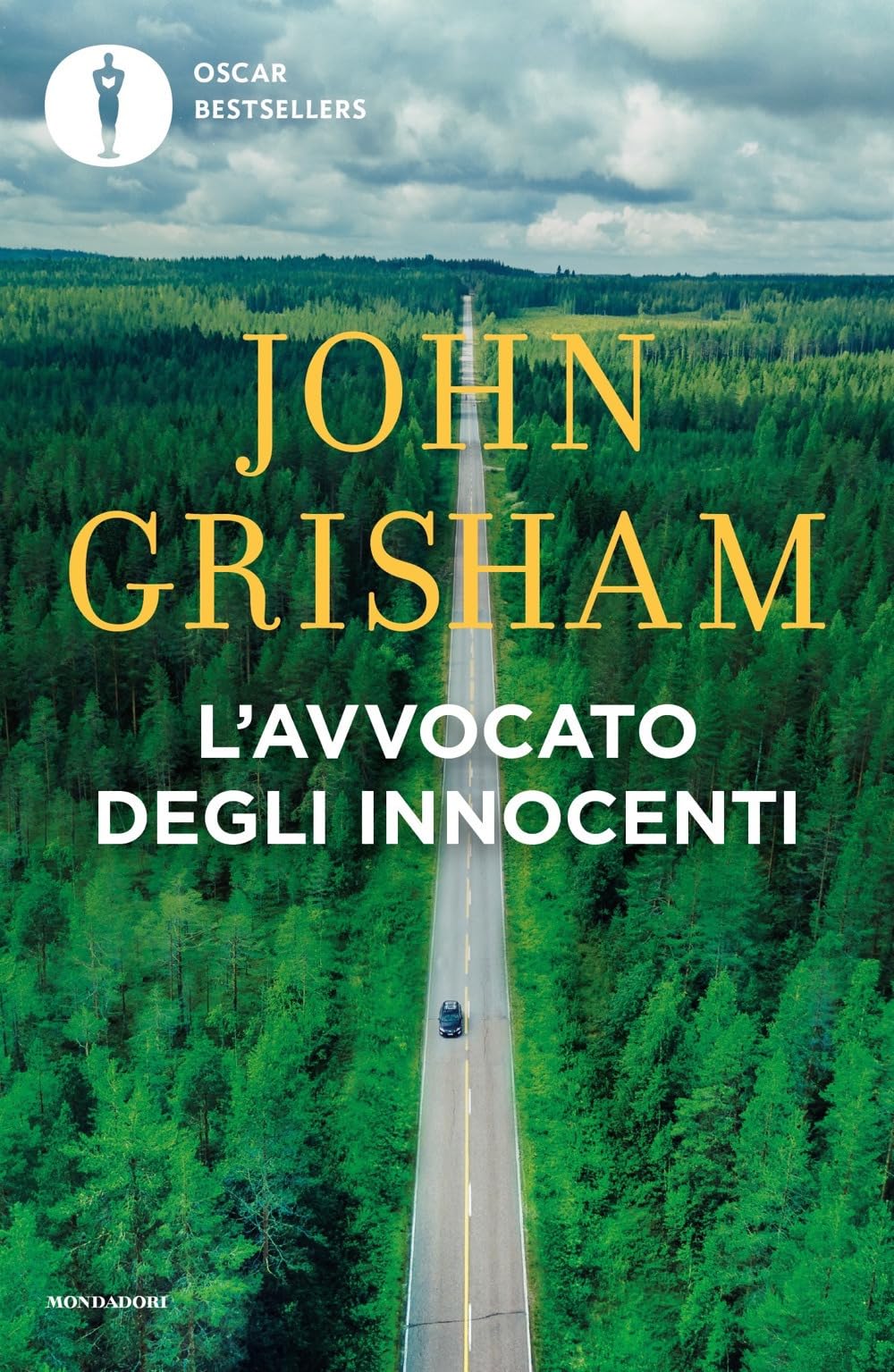 L' avvocato degli innocenti book
