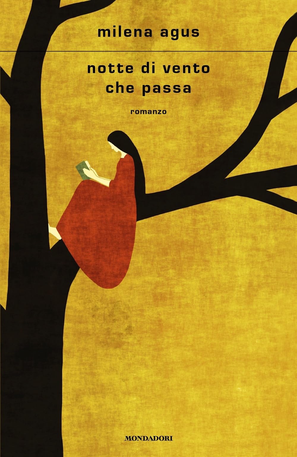Product Image: Notte di vento che passa