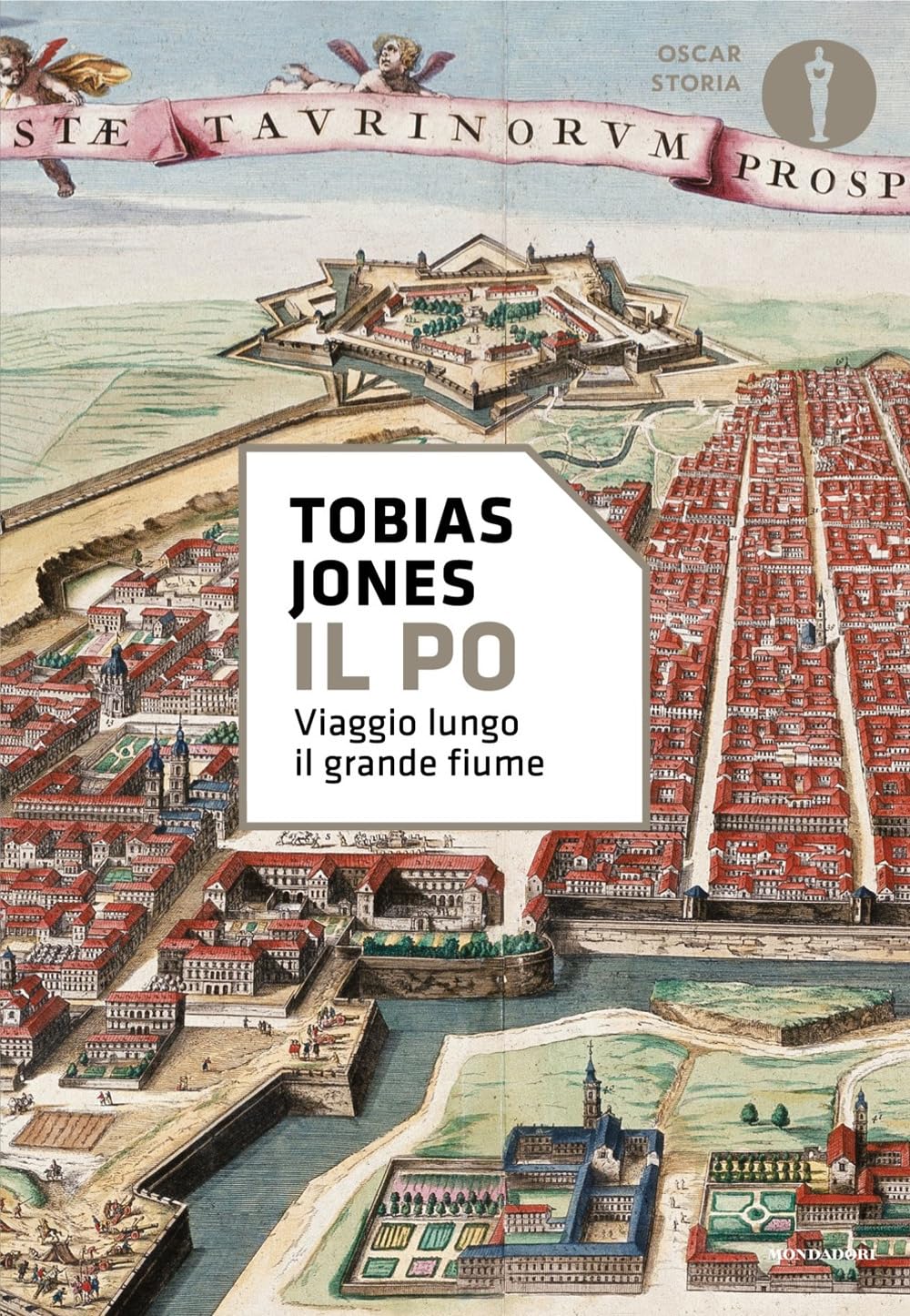Il Po. Viaggio lungo il grande fiume book