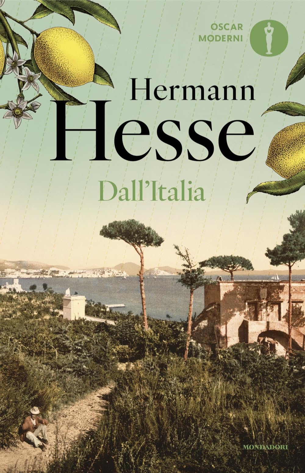 Dall'Italia. Diari, poesie, saggi e racconti book