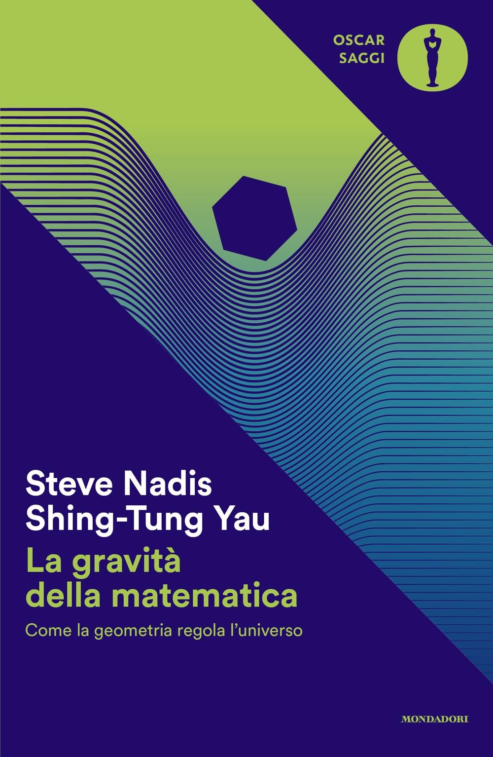 La gravità della matematica. Come la geometria regola l'universo book