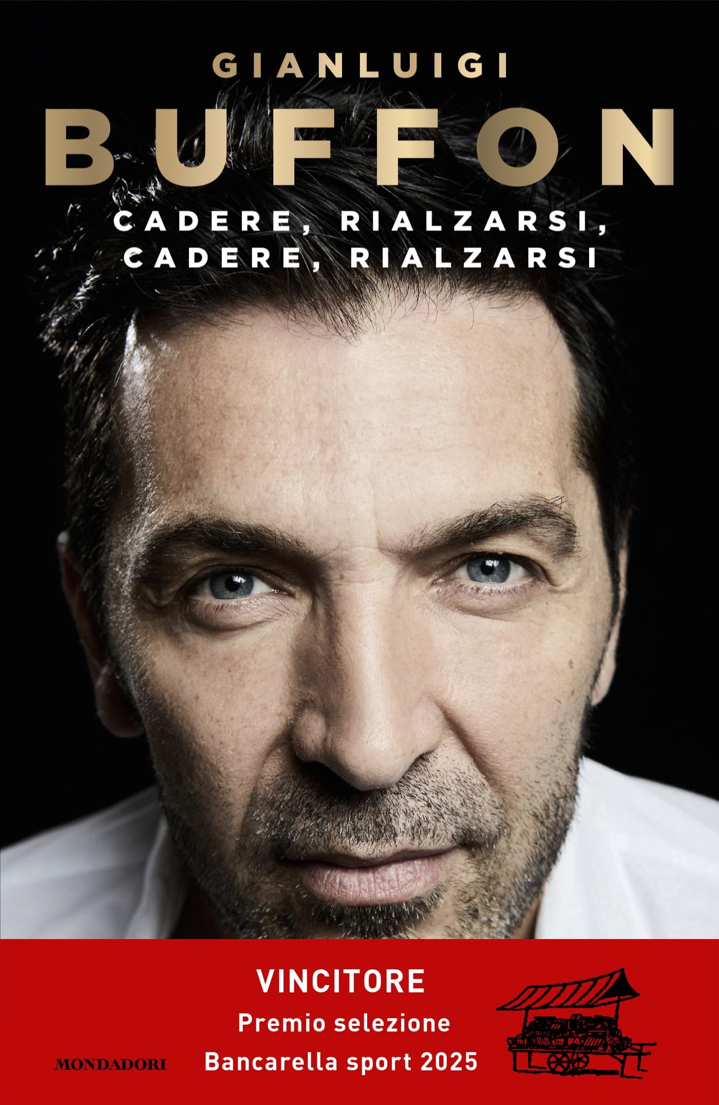Cadere, rialzarsi, cadere, rialzarsi book