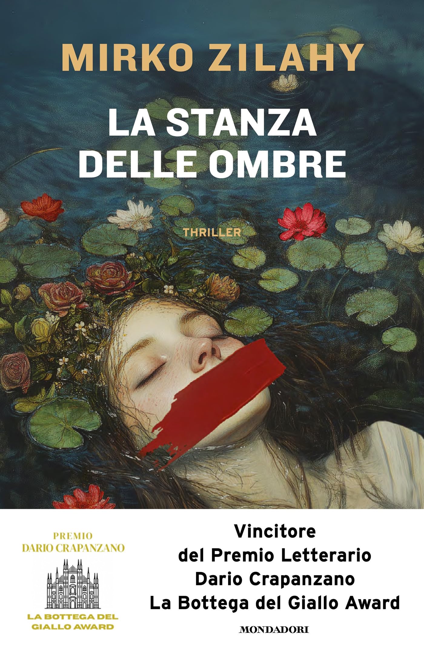 La stanza delle ombre book