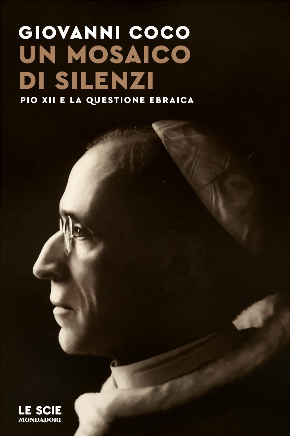 Un mosaico di silenzi. Pio XII e la questione ebraica German history