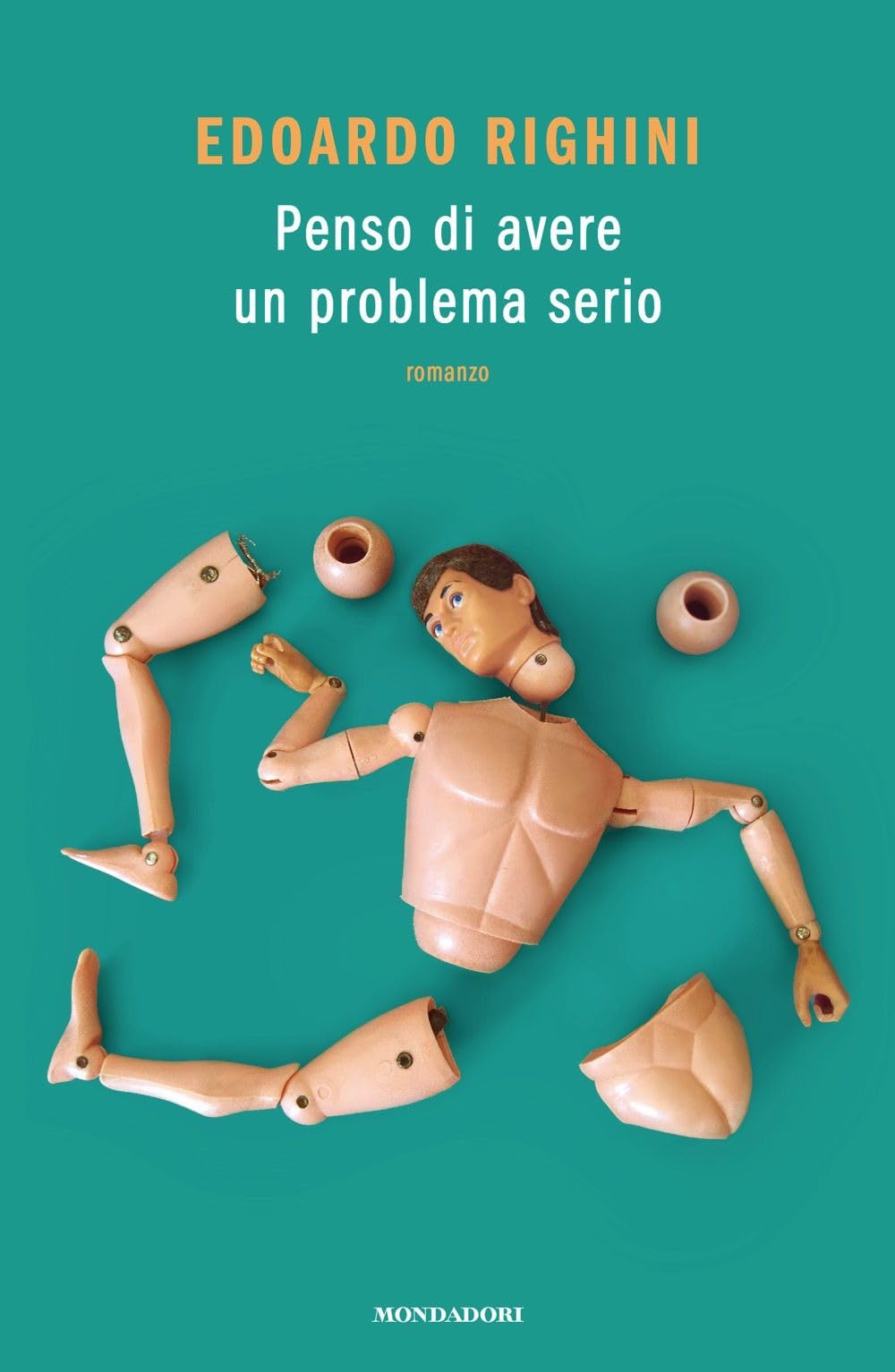 Penso di avere un problema serio (Novel) Contemporary literature