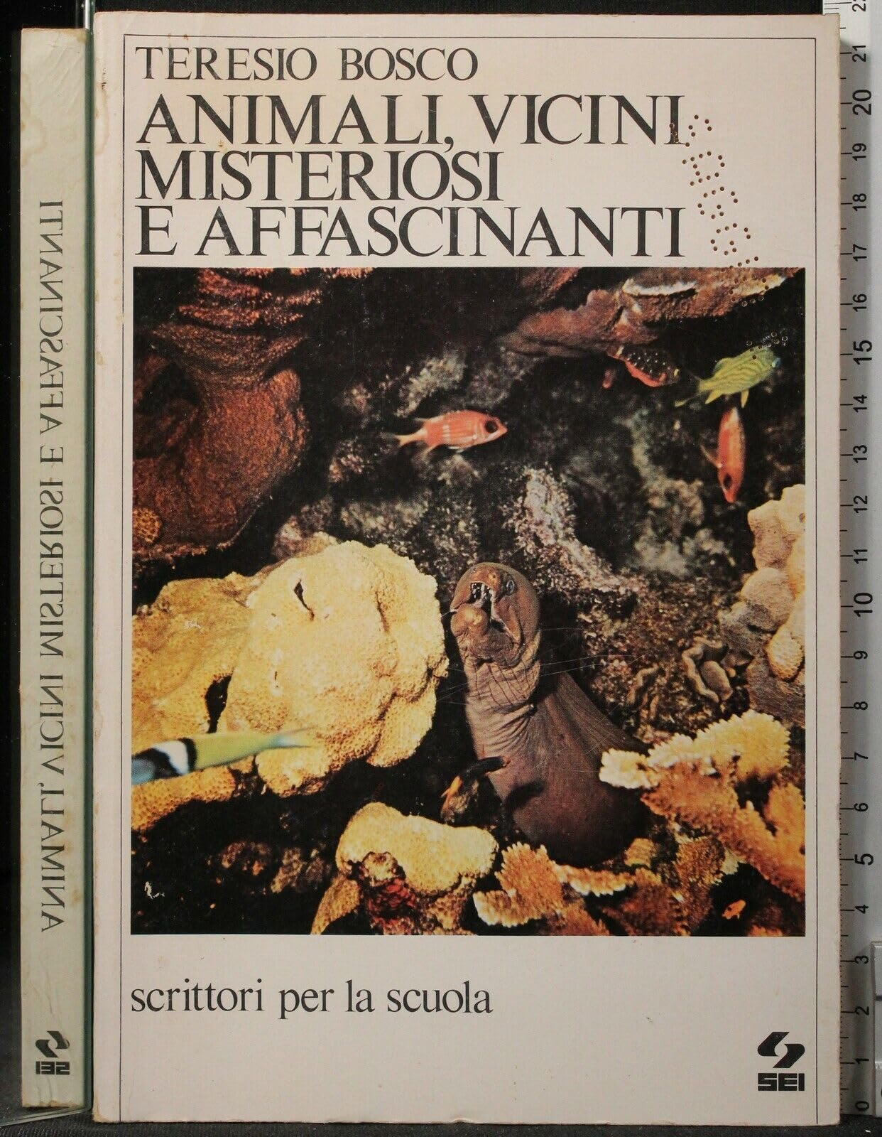Animali, vicini misteriosi e affascinanti book
