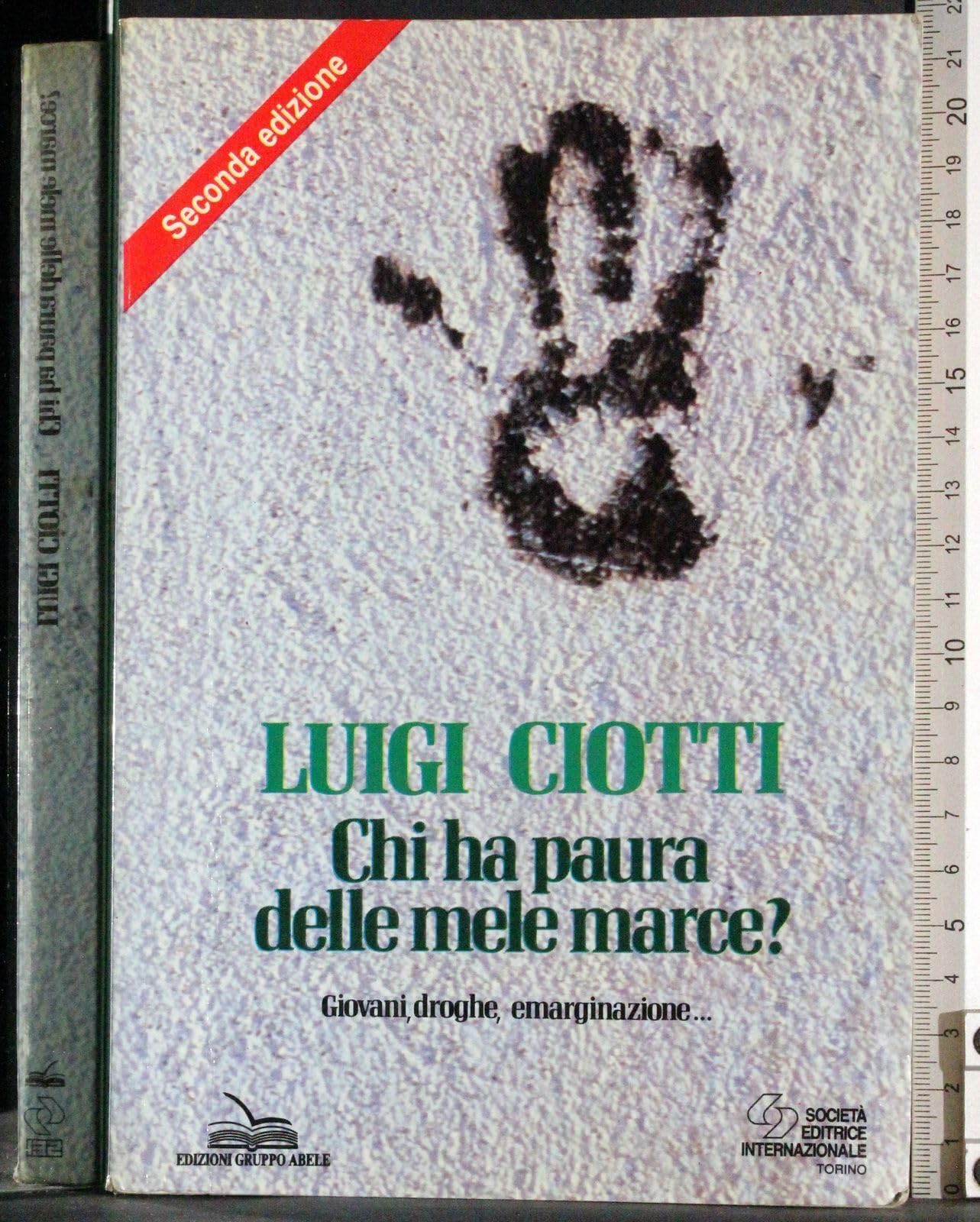 Chi ha paura delle mele marce? Giovani, droghe, emarginazione. book